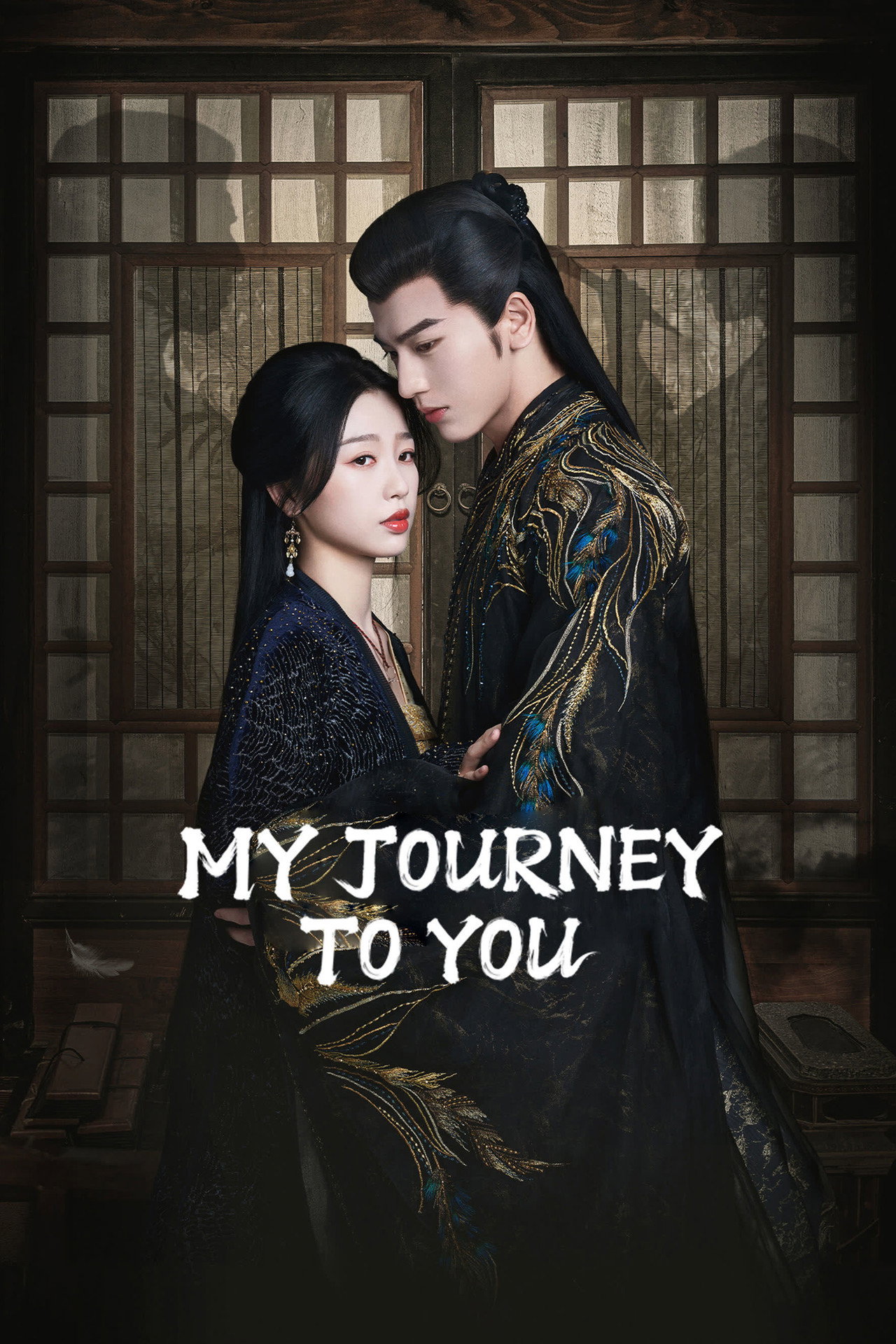 Pôster de My Journey To You