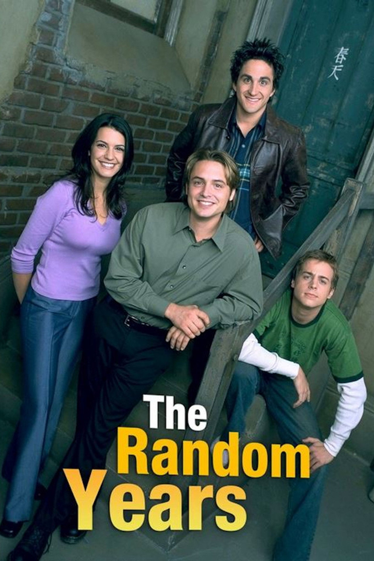 Pôster de The Random Years
