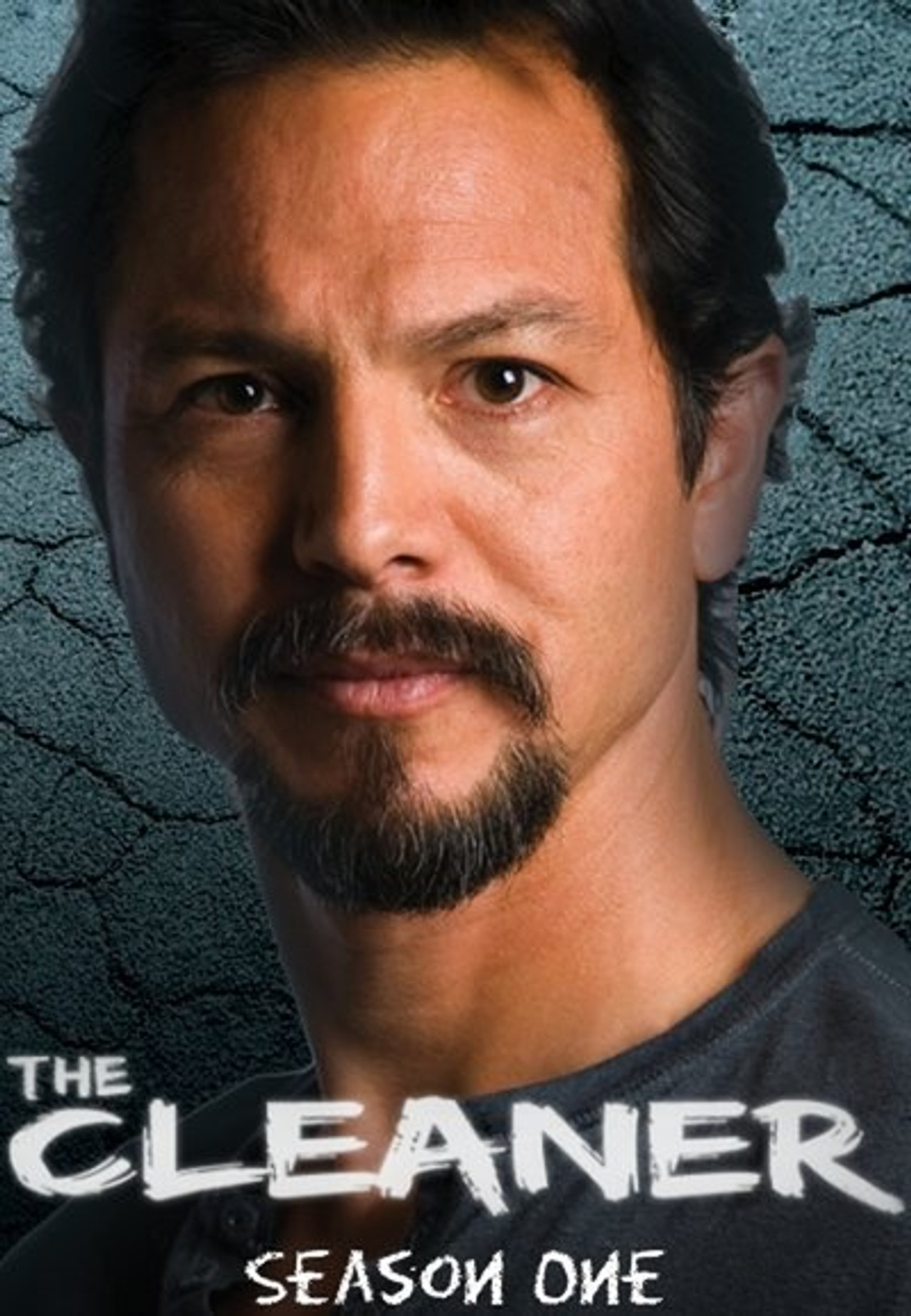 Pôster de The Cleaner