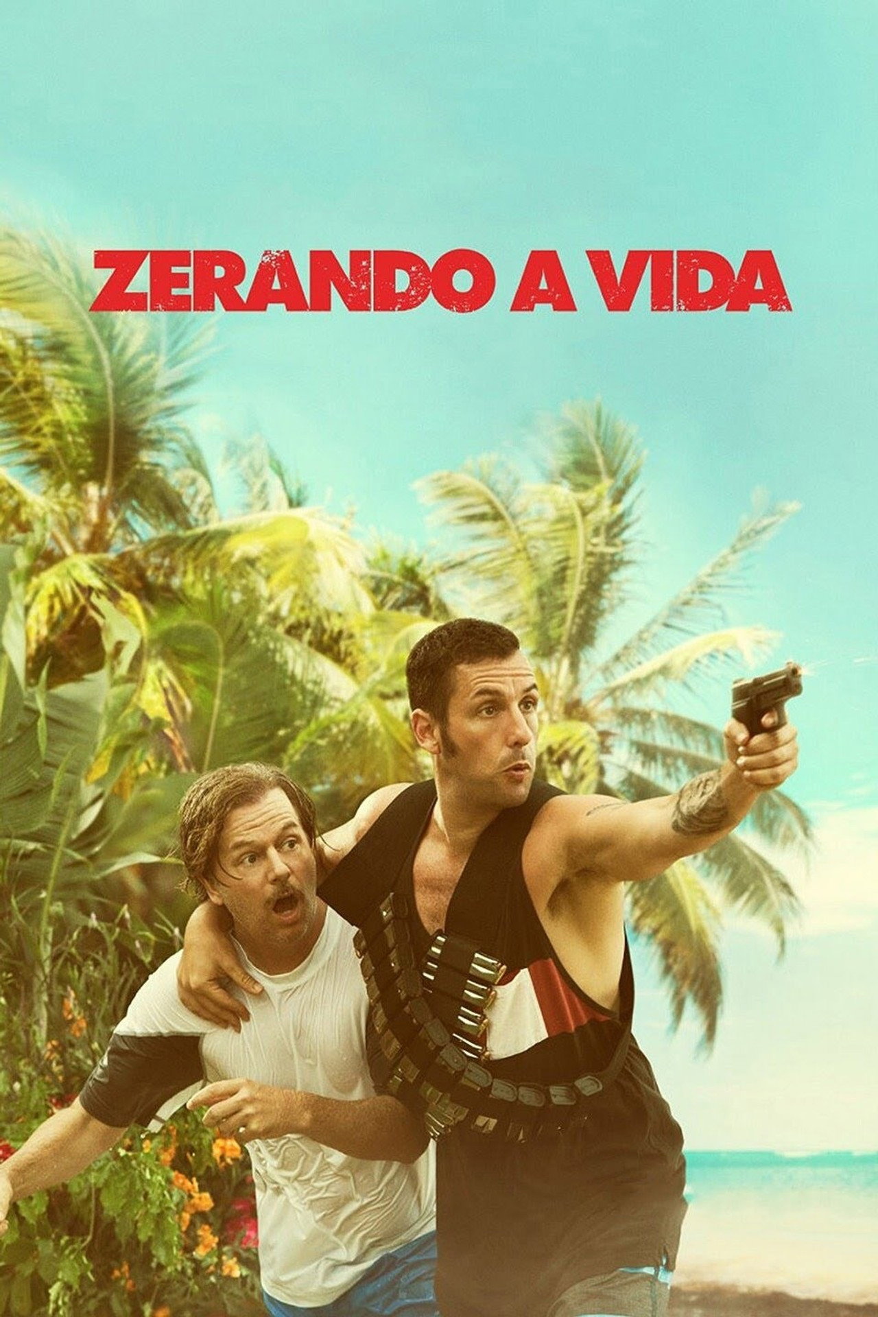 Pôster de Zerando a Vida