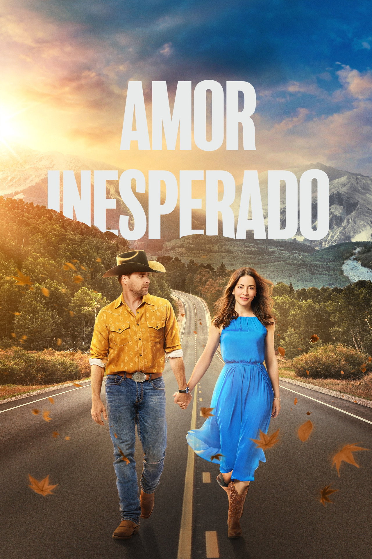 Pôster de Amor Inesperado