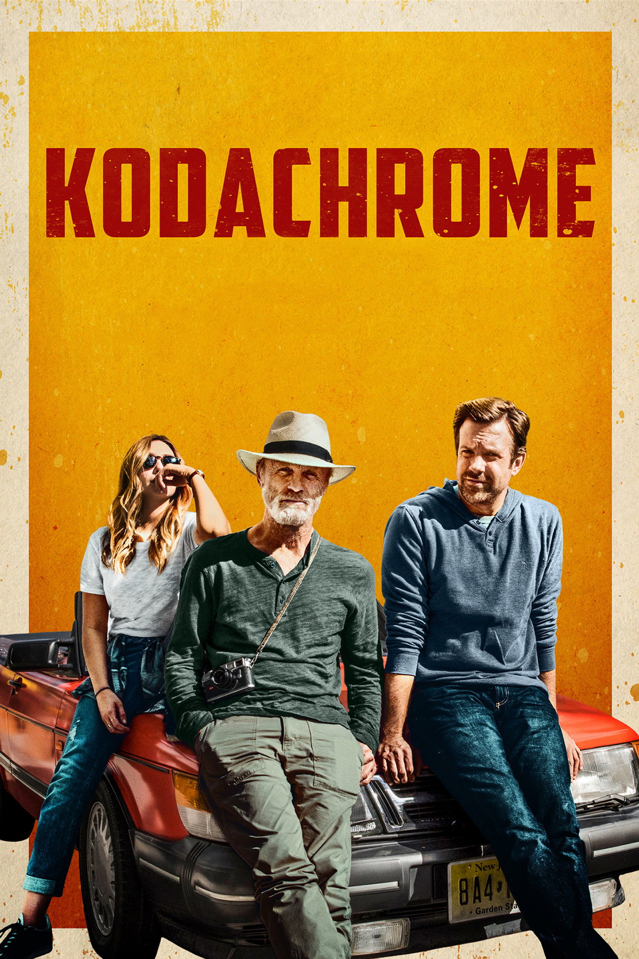 Pôster de Kodachrome