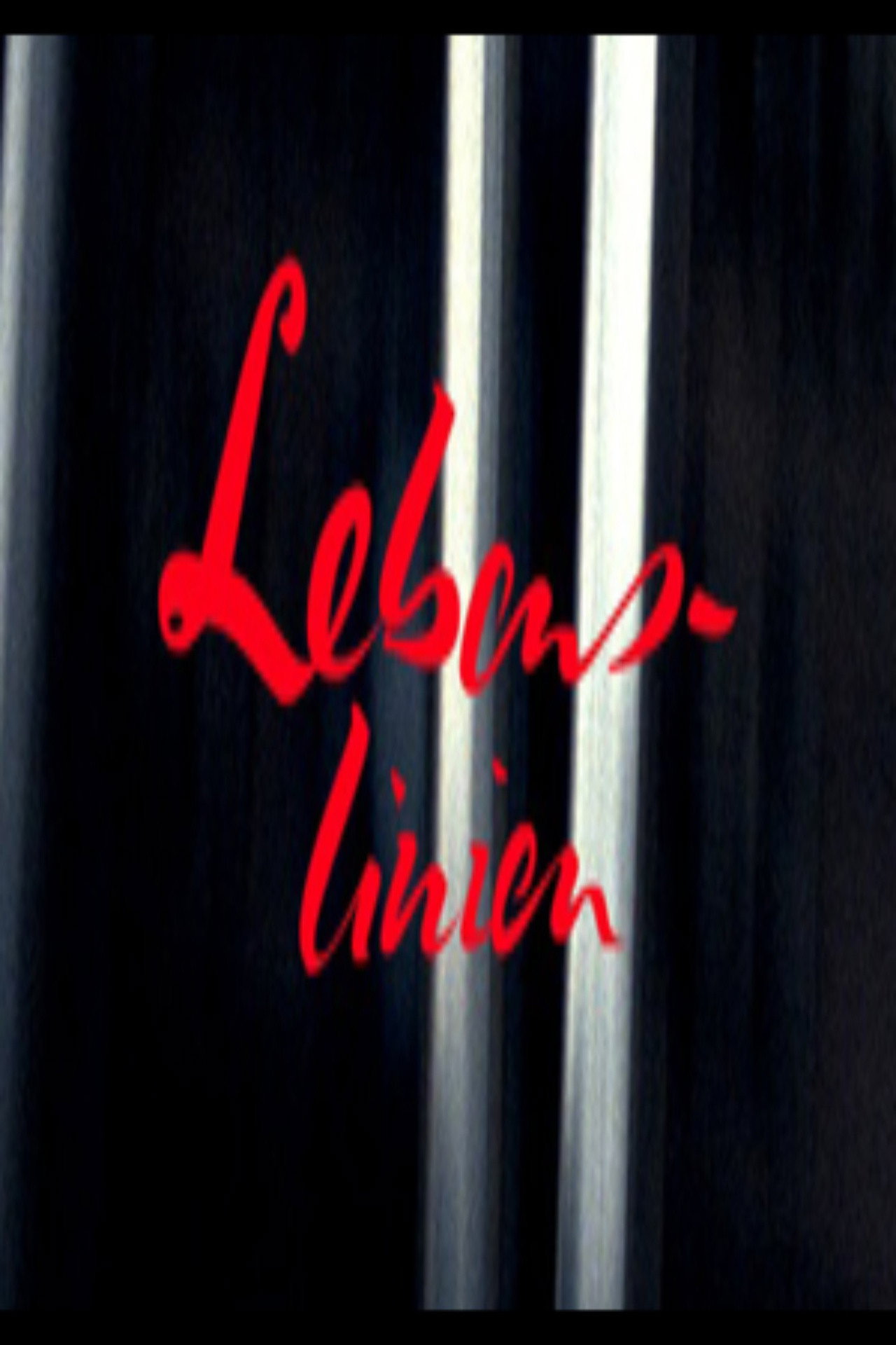 Pôster de Lebenslinien