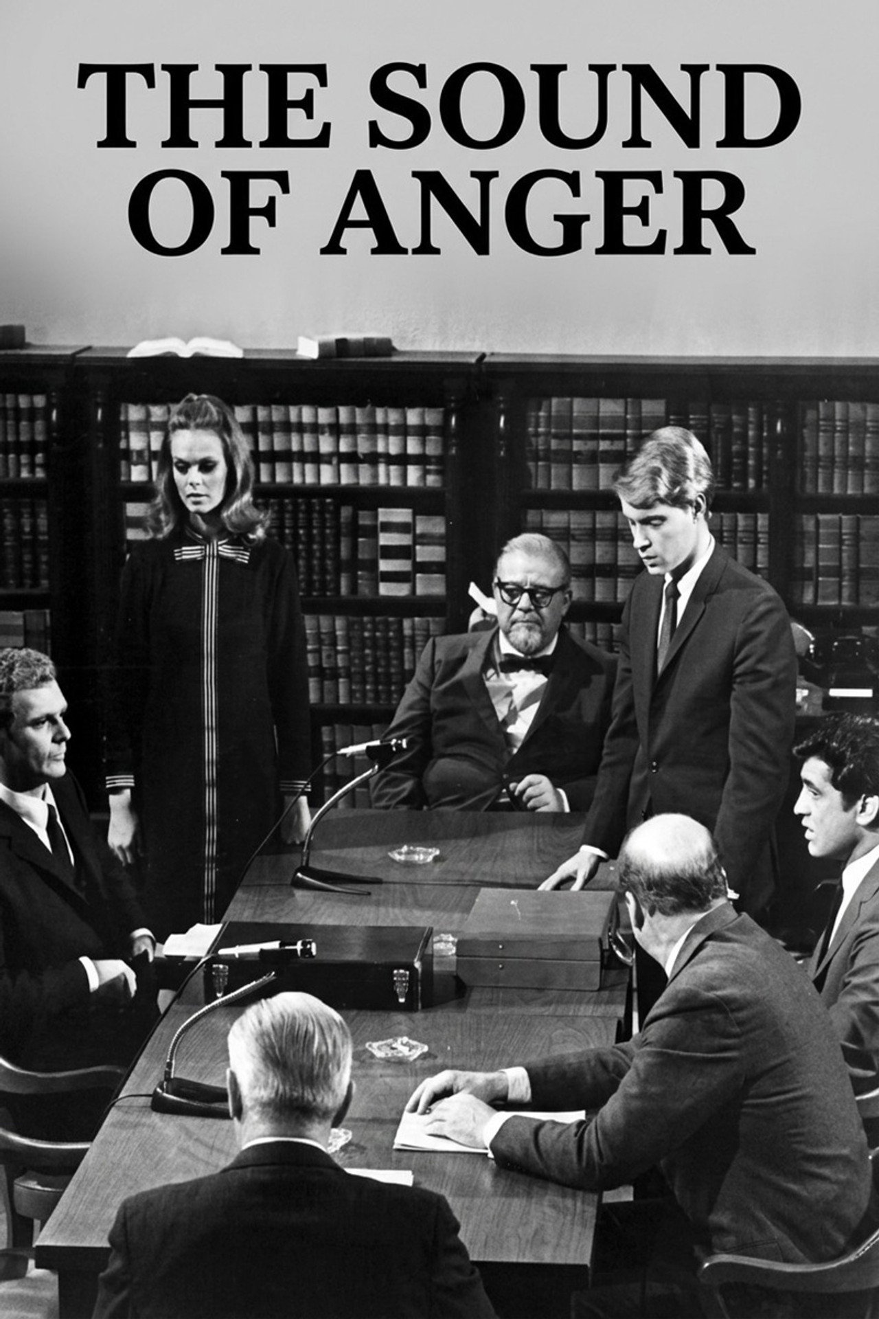 Pôster de The Sound of Anger