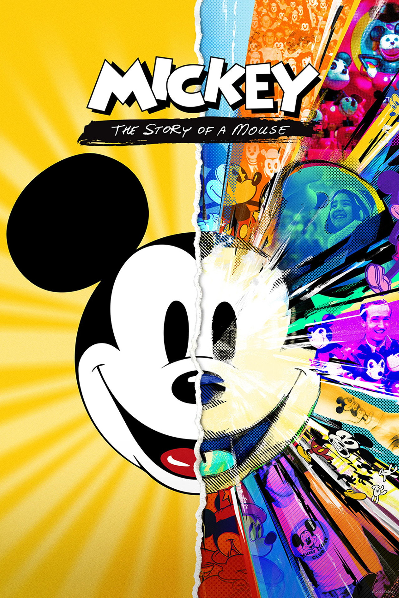 Pôster de Mickey: The Story of a Mouse