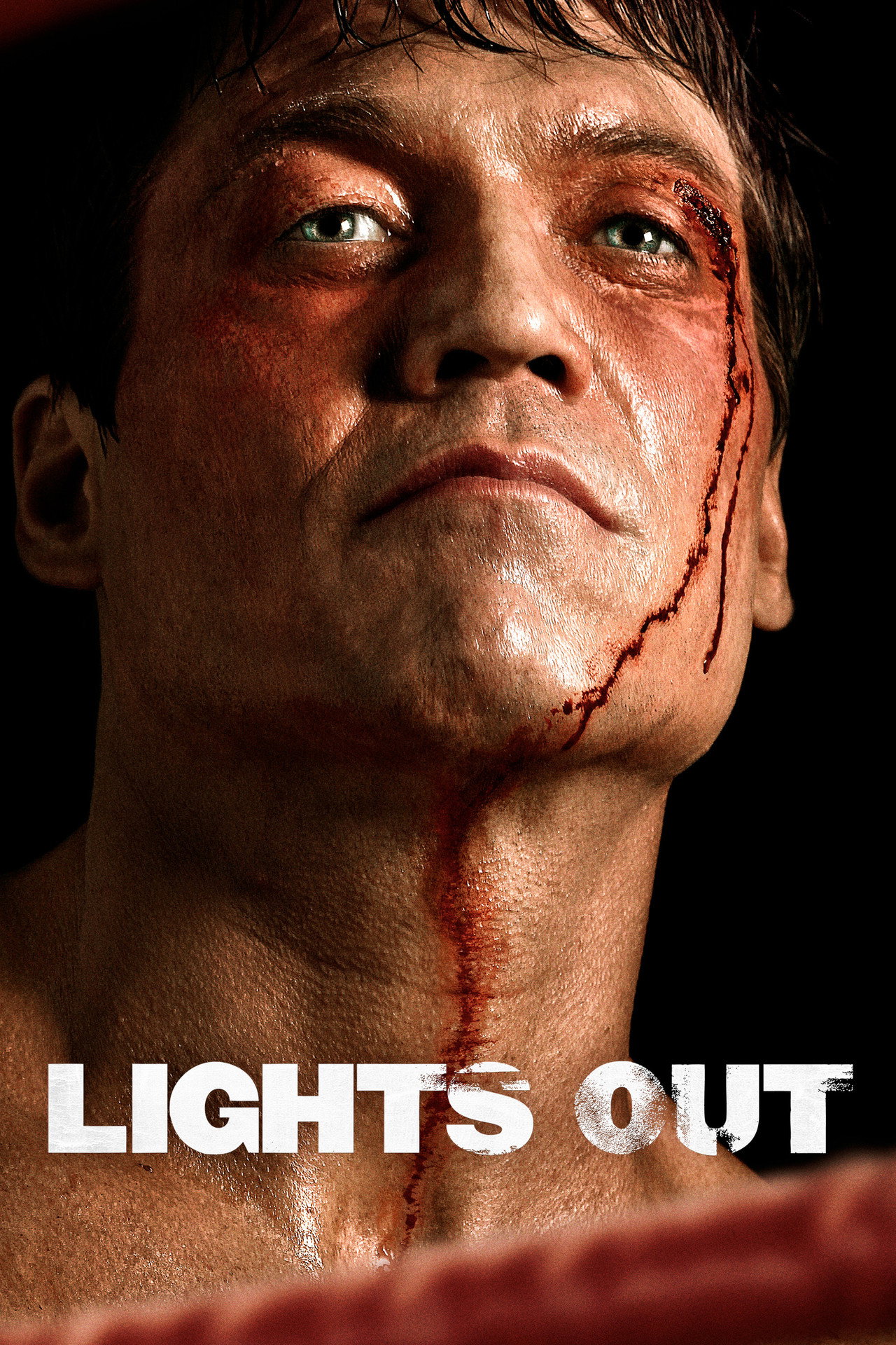 Pôster de Lights Out