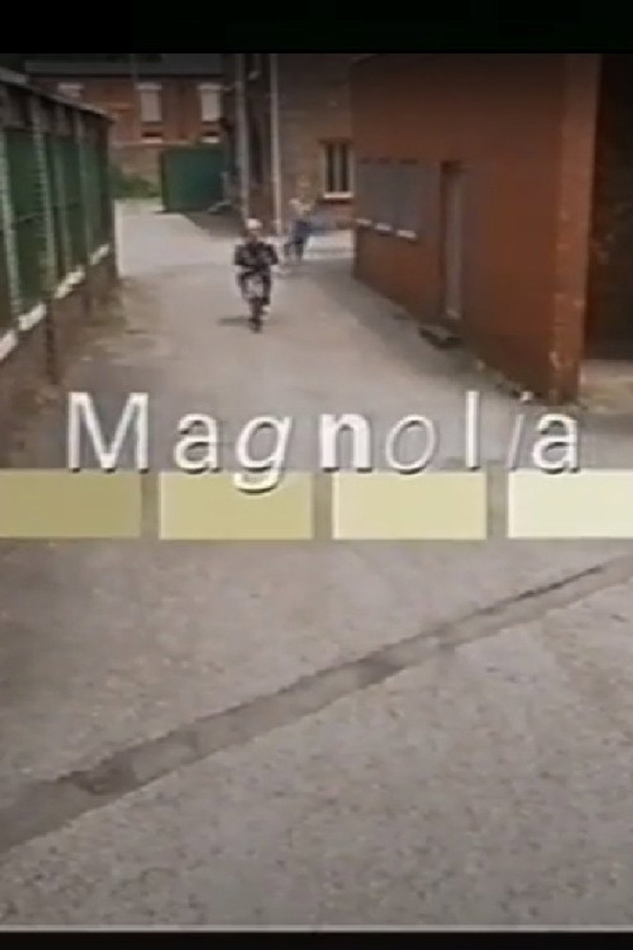 Pôster de Magnolia