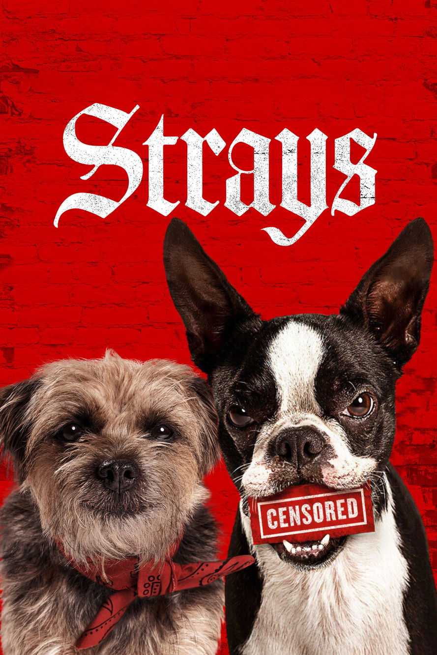 Pôster de Strays