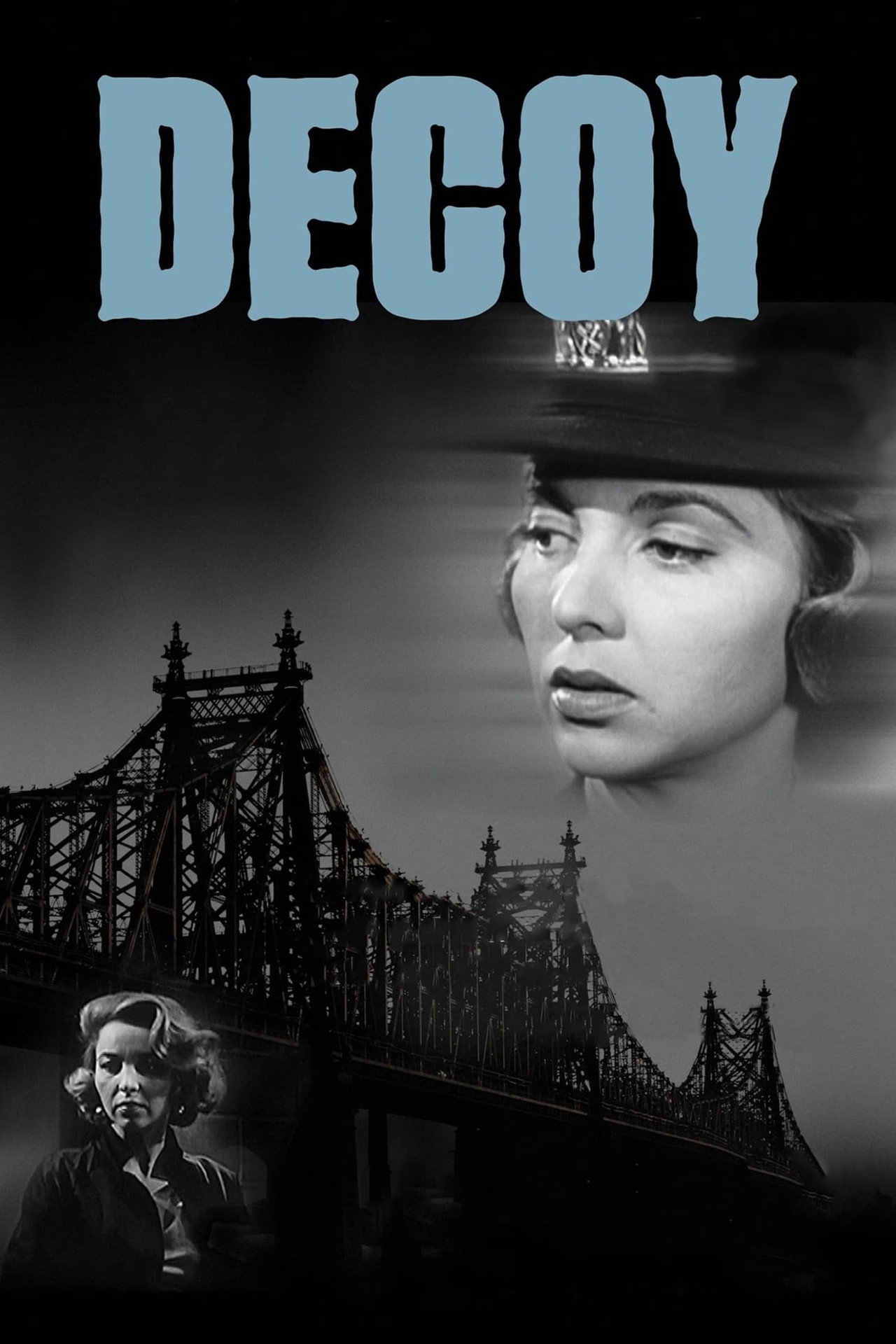 Pôster de Decoy