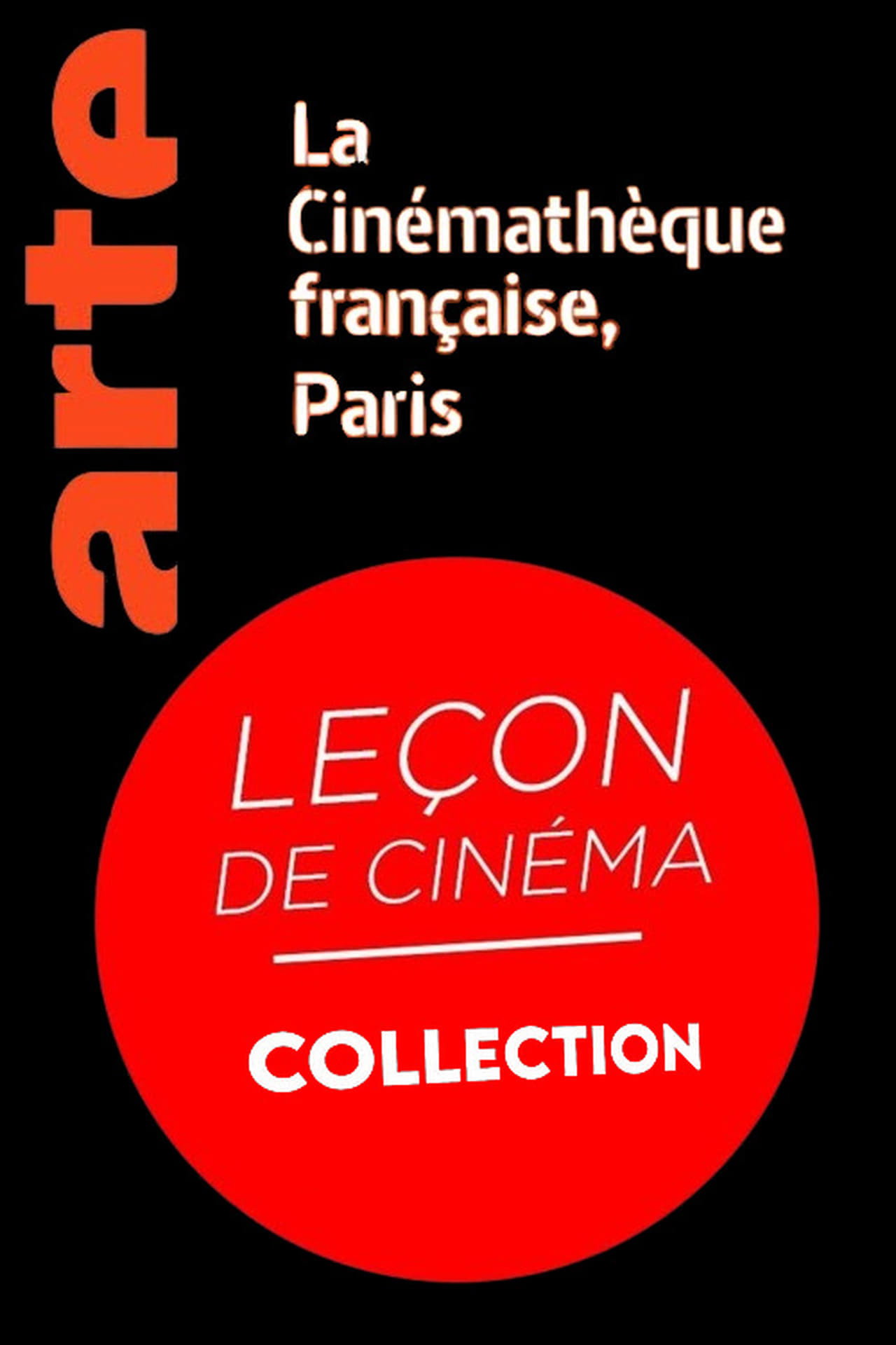 Pôster de Leçon de Cinéma