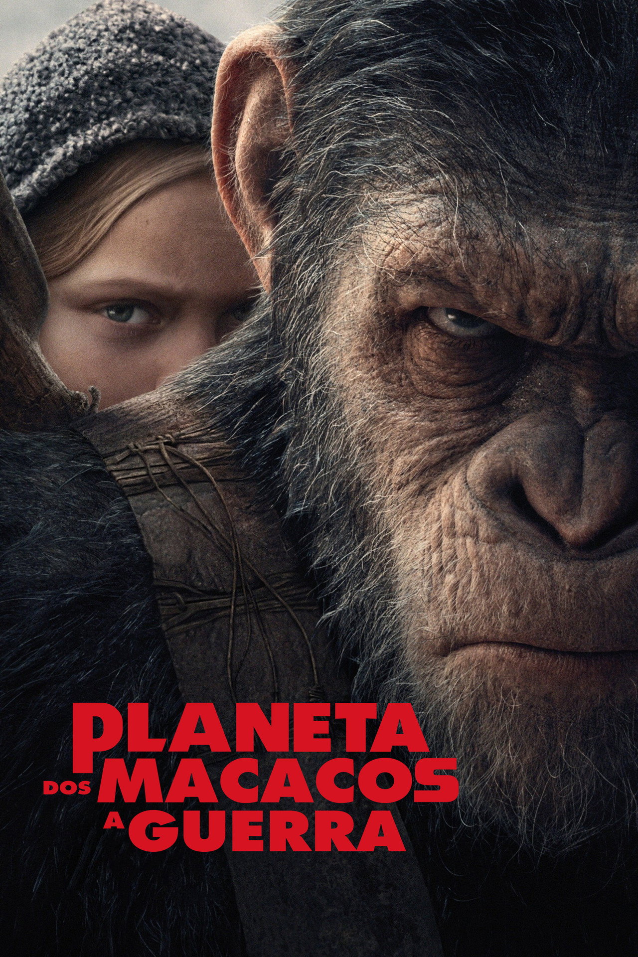Pôster de Planeta dos Macacos: A Guerra
