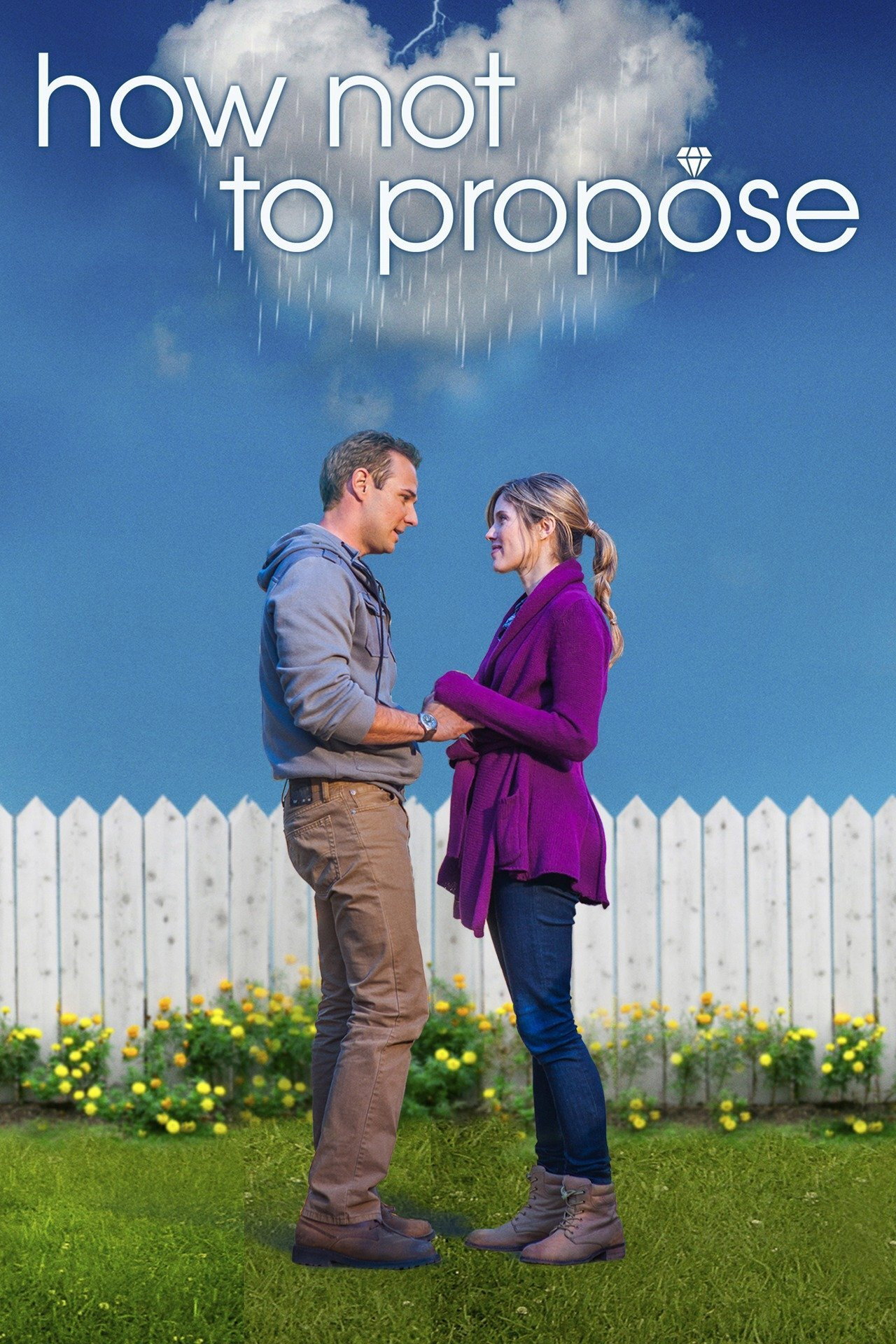 Pôster de How Not to Propose