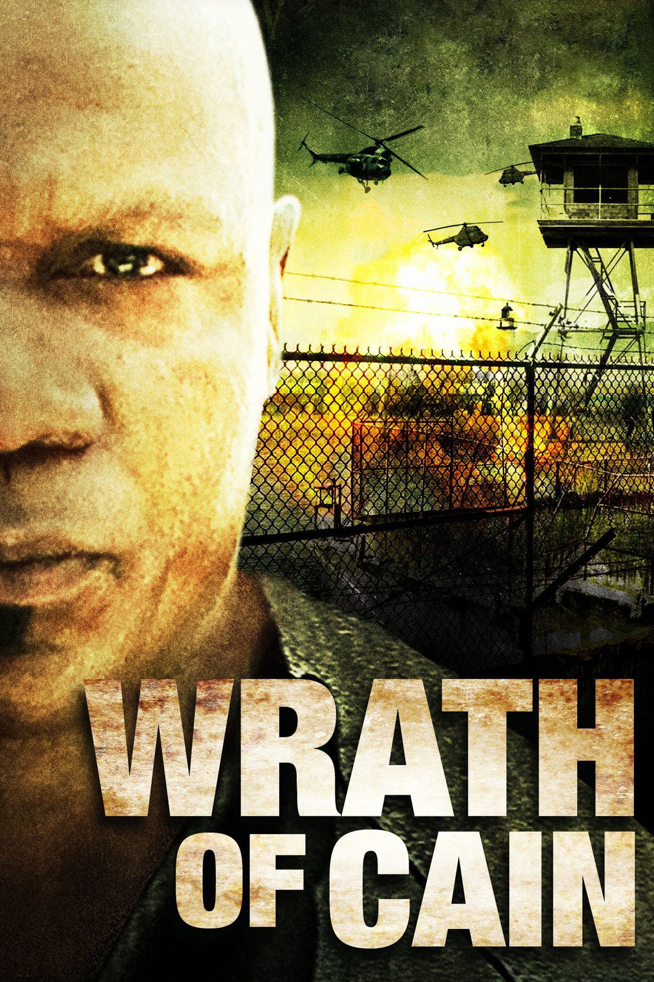 Pôster de The Wrath of Cain