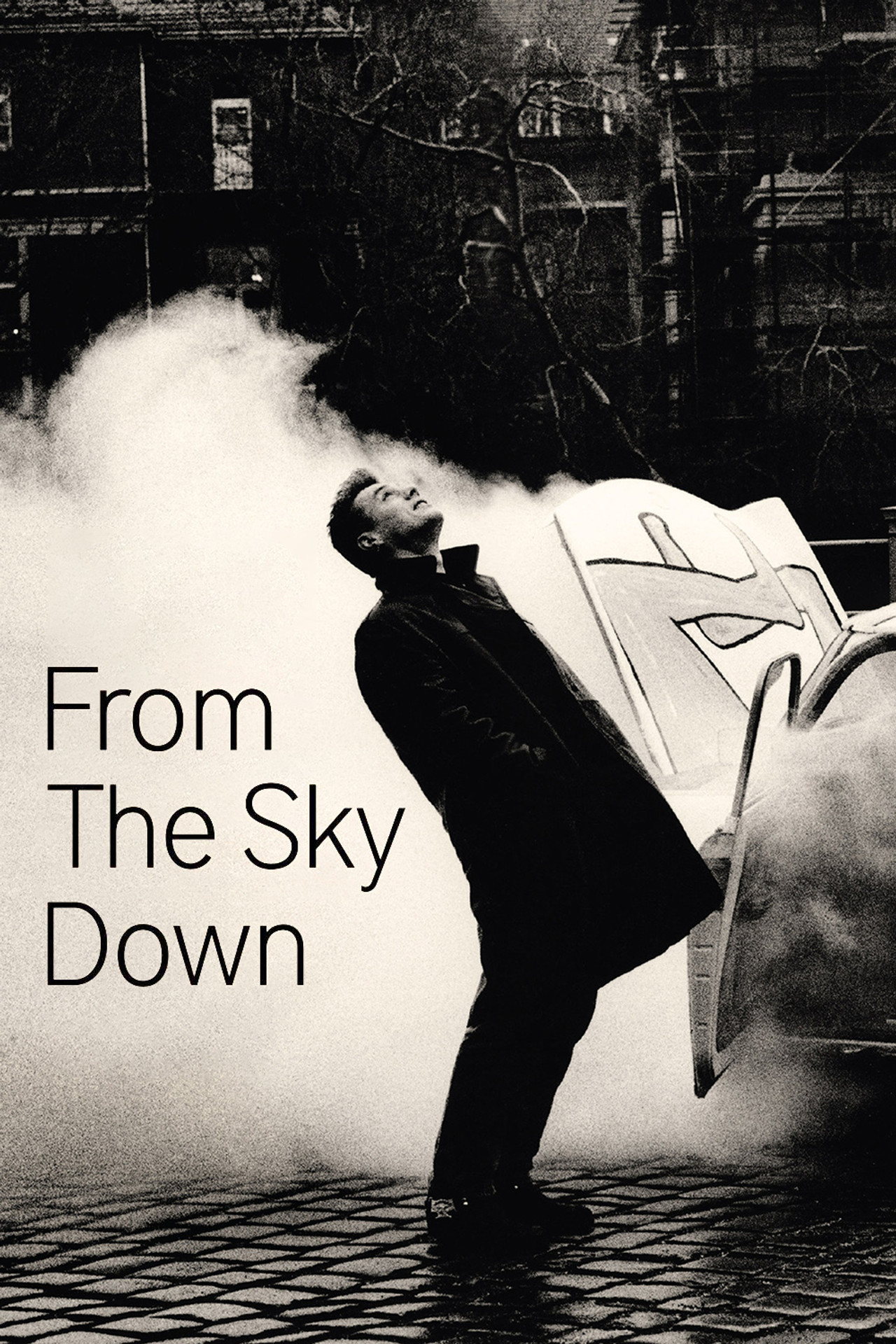 Pôster de U2: From the Sky Down