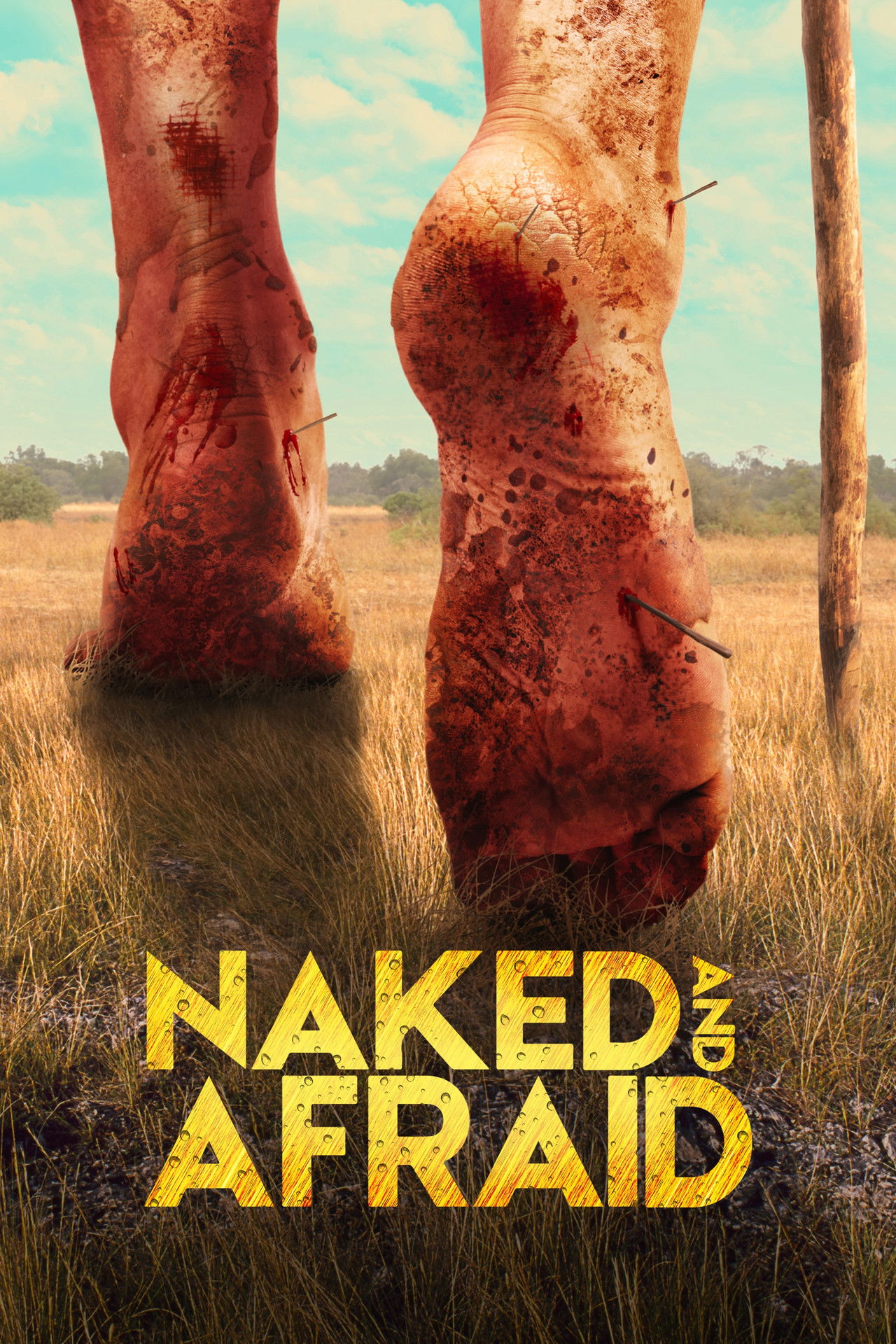 Pôster de Naked and Afraid