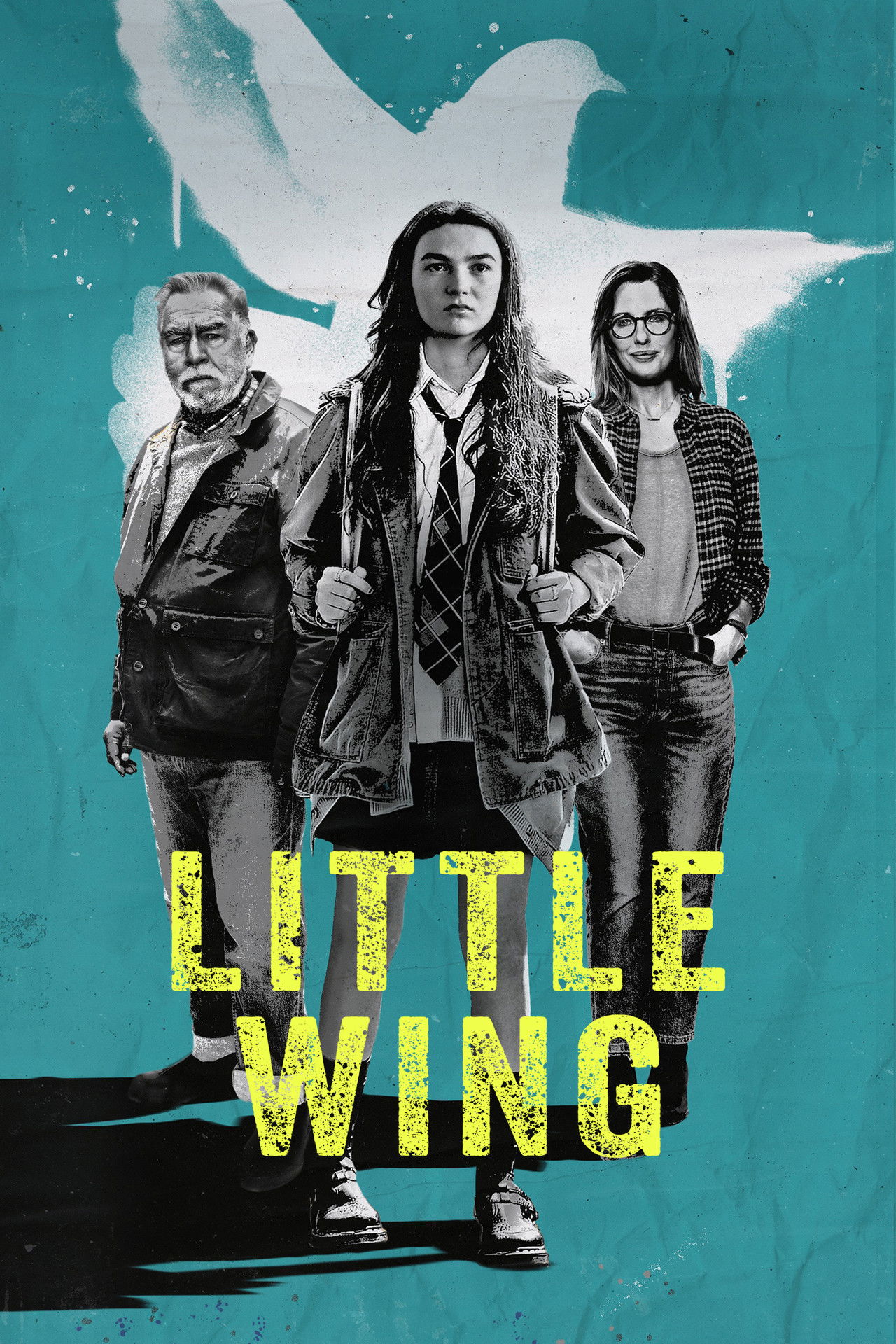 Pôster de Little Wing