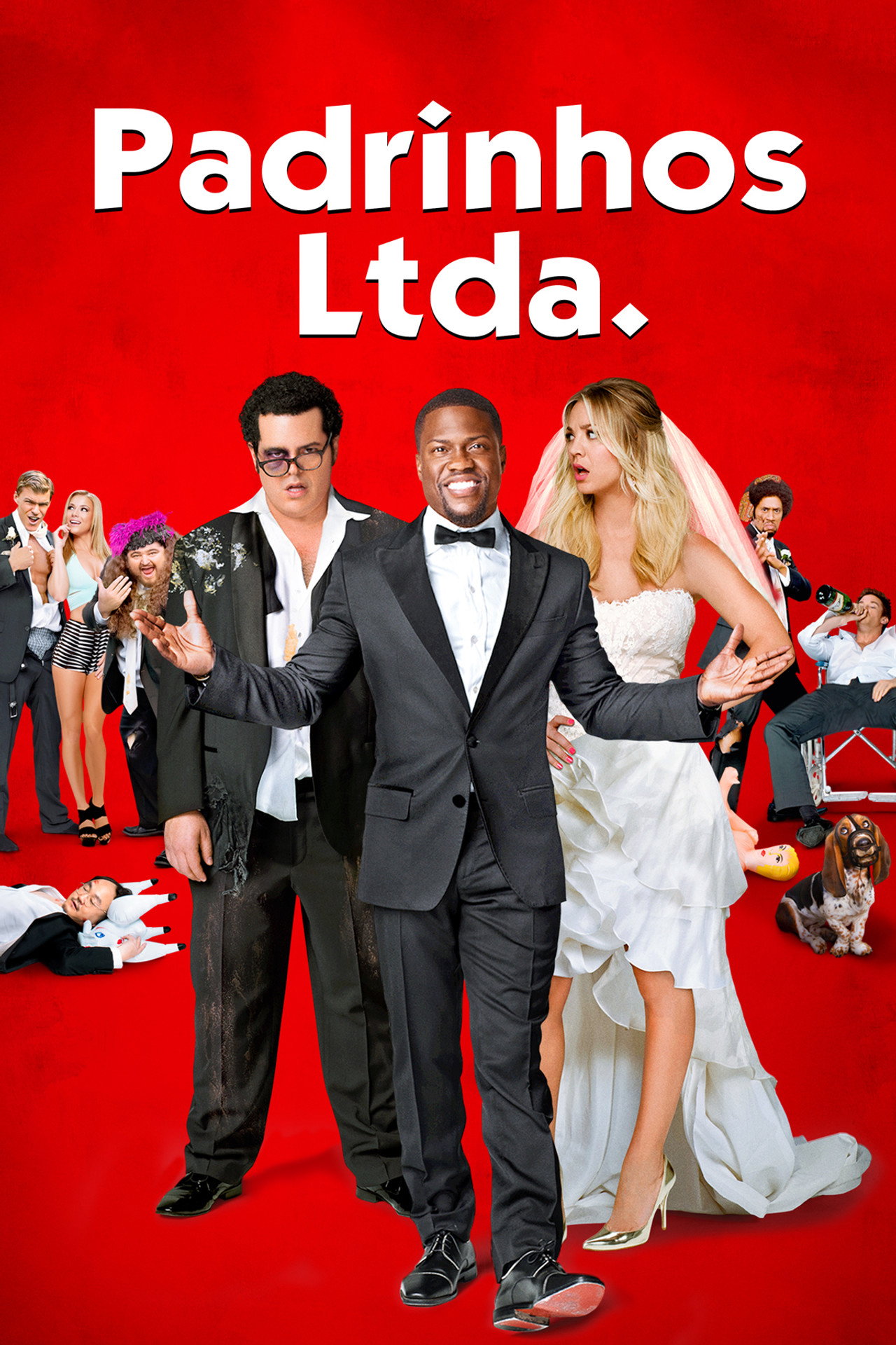 Pôster de Padrinhos Ltda.
