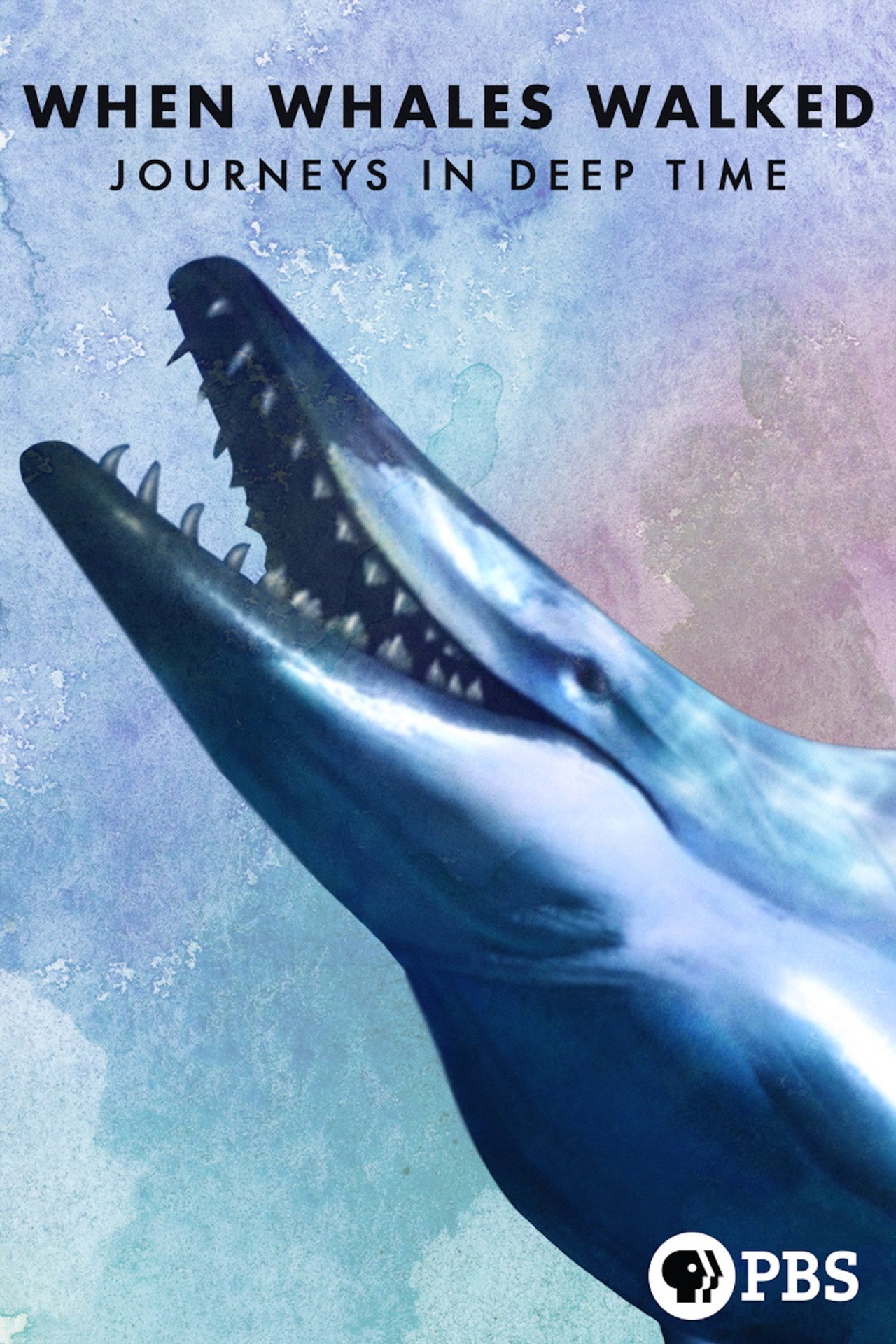 Pôster de When Whales Walked: Journeys in Deep Time