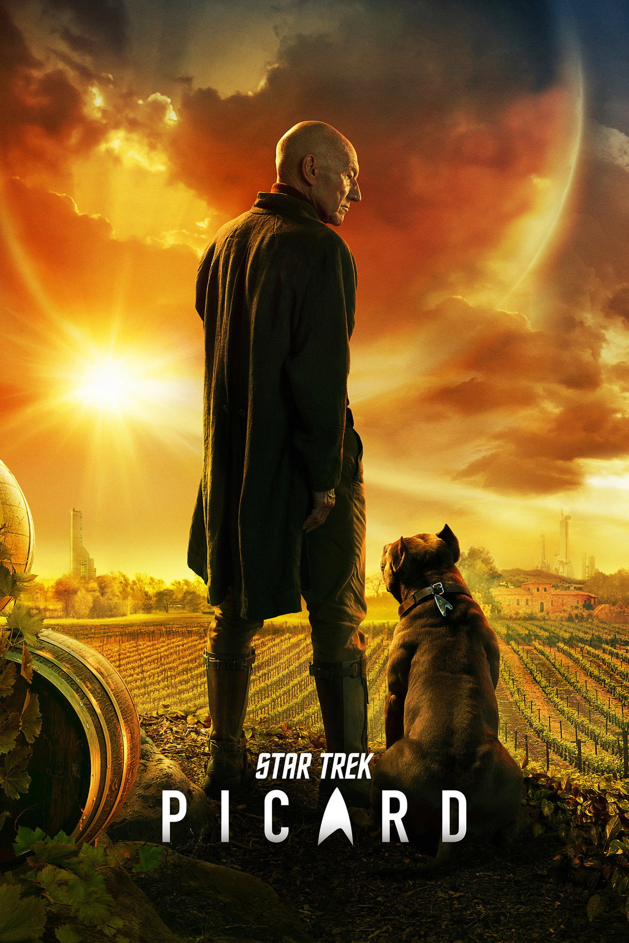 Pôster de Star Trek: Picard