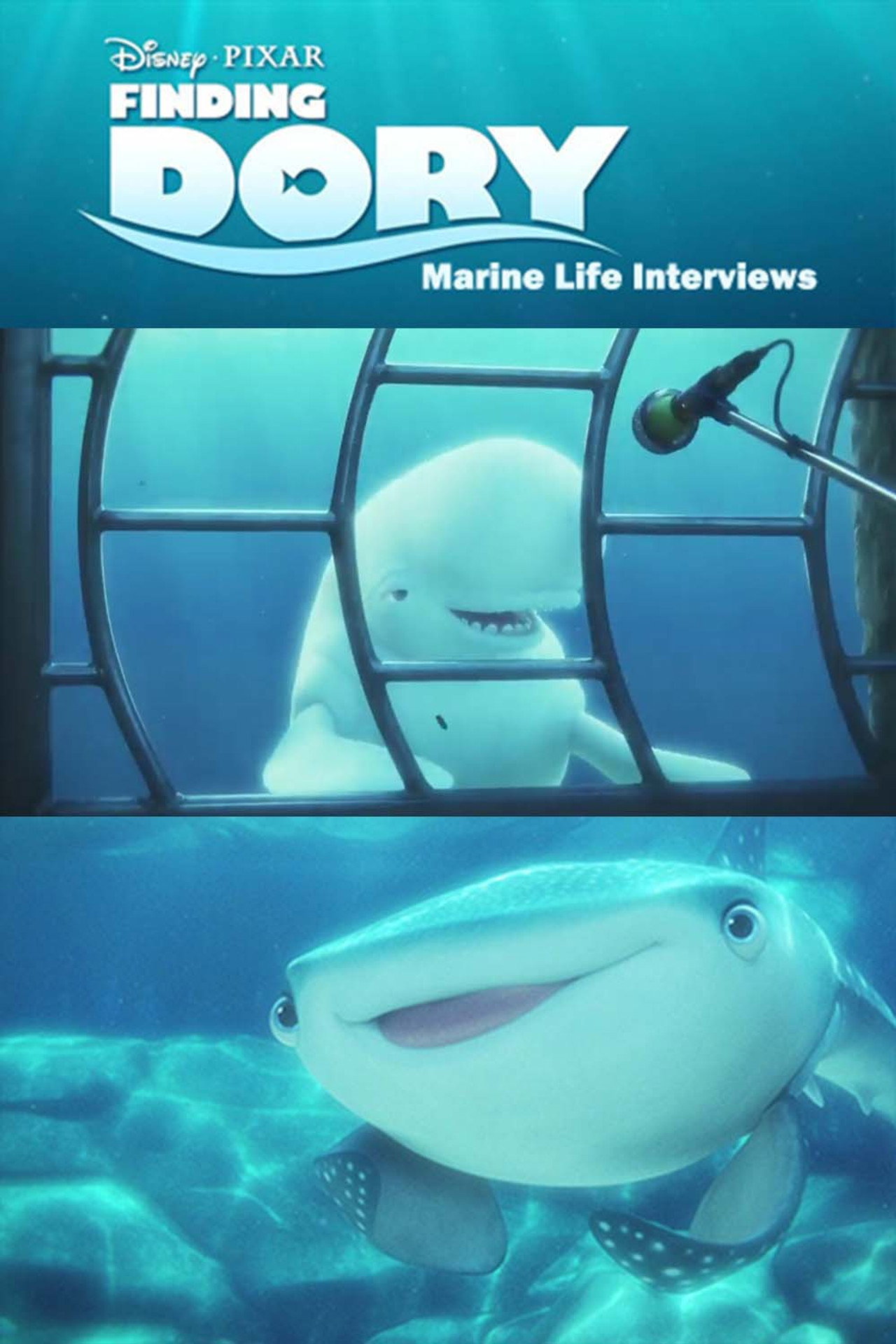 Pôster de Marine Life Interviews