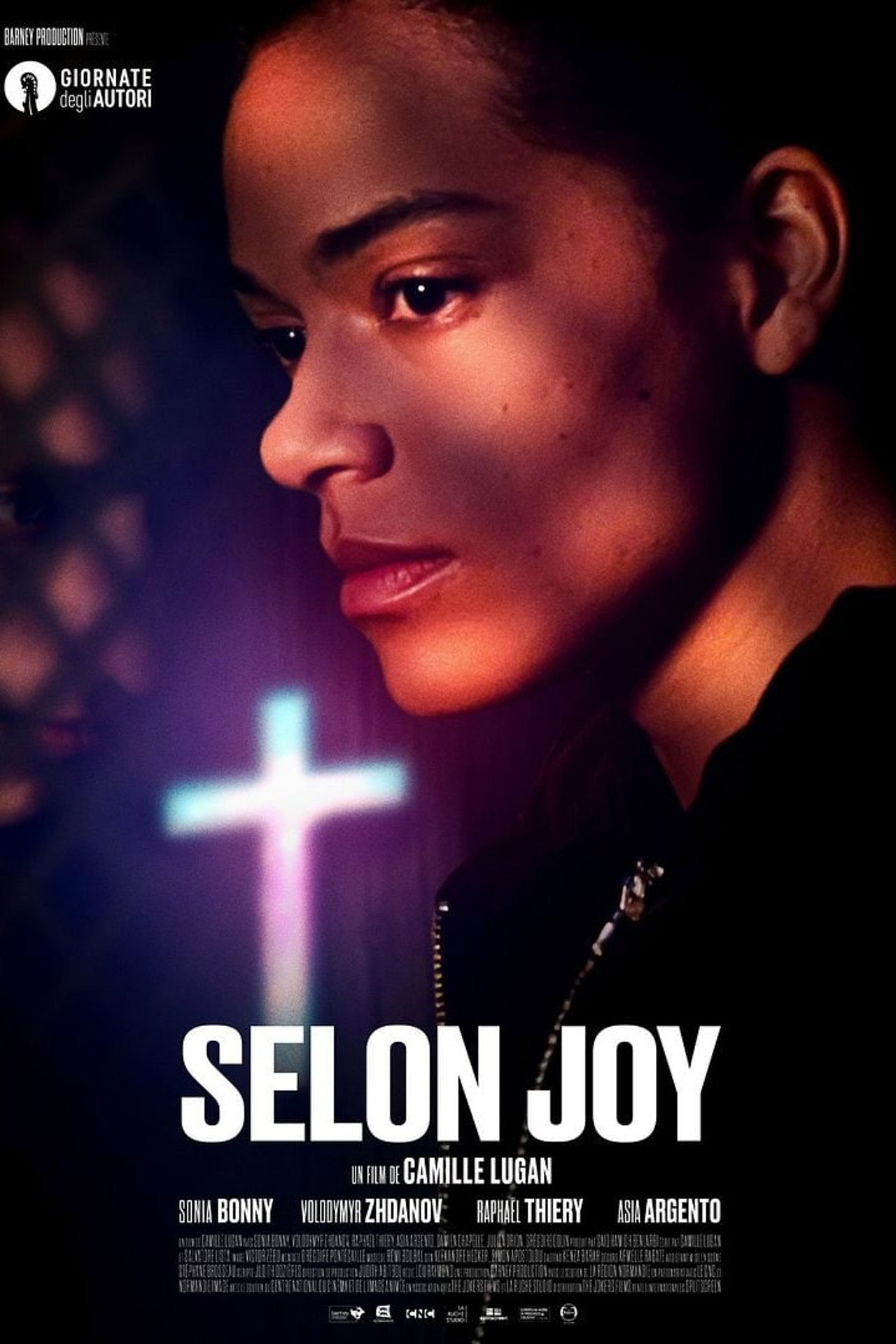 Pôster de The Book of Joy