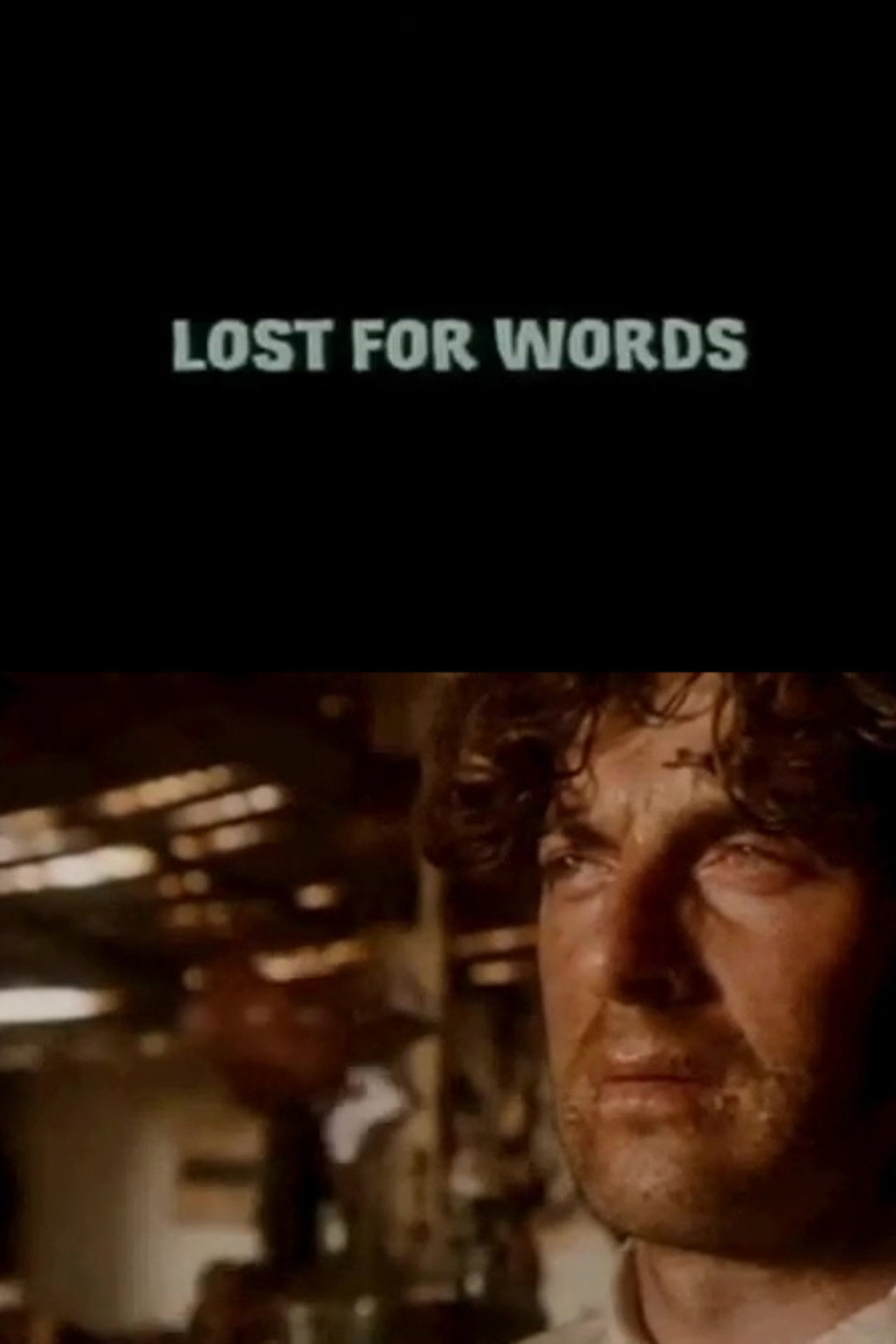 Pôster de Lost for Words