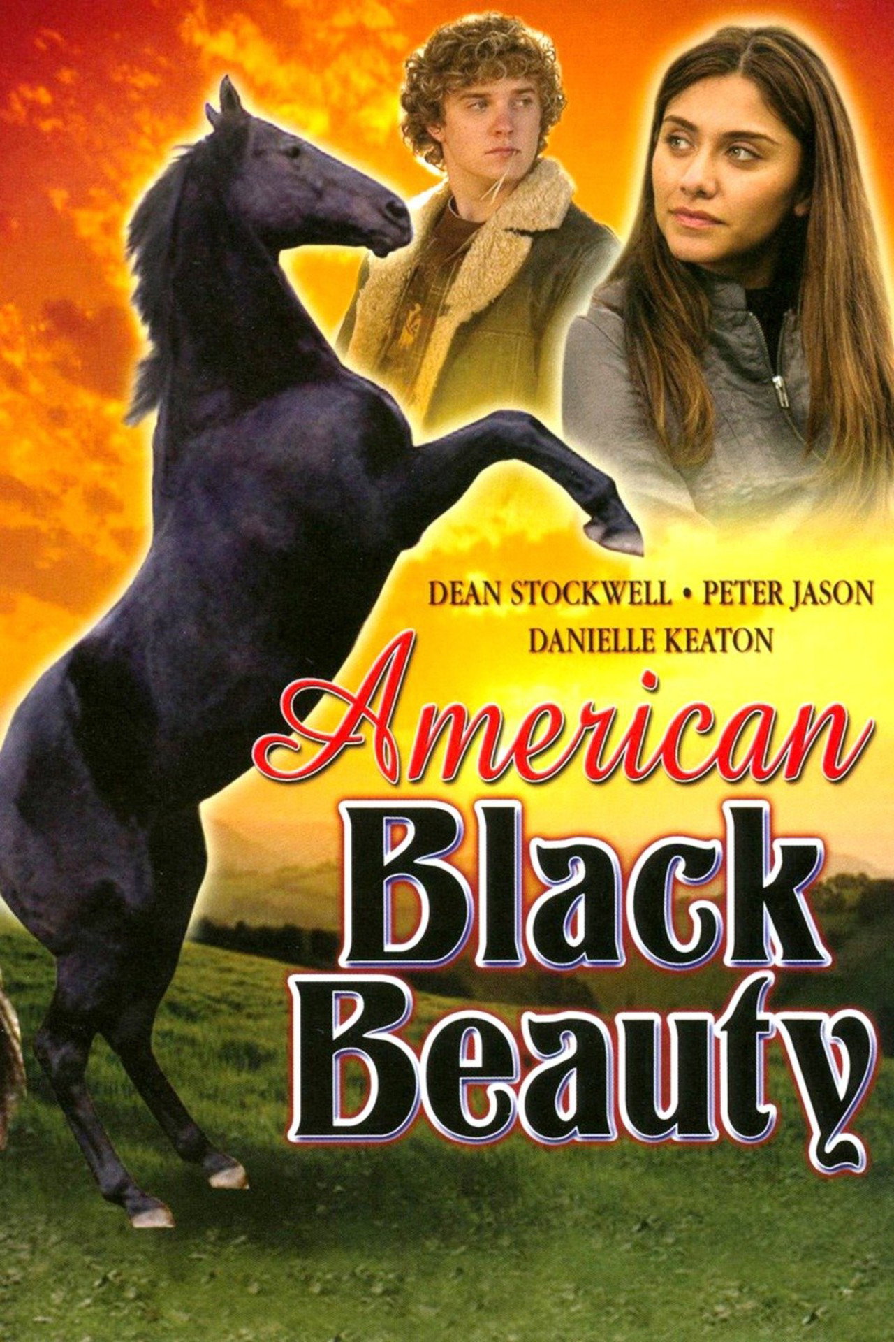 Pôster de American Black Beauty
