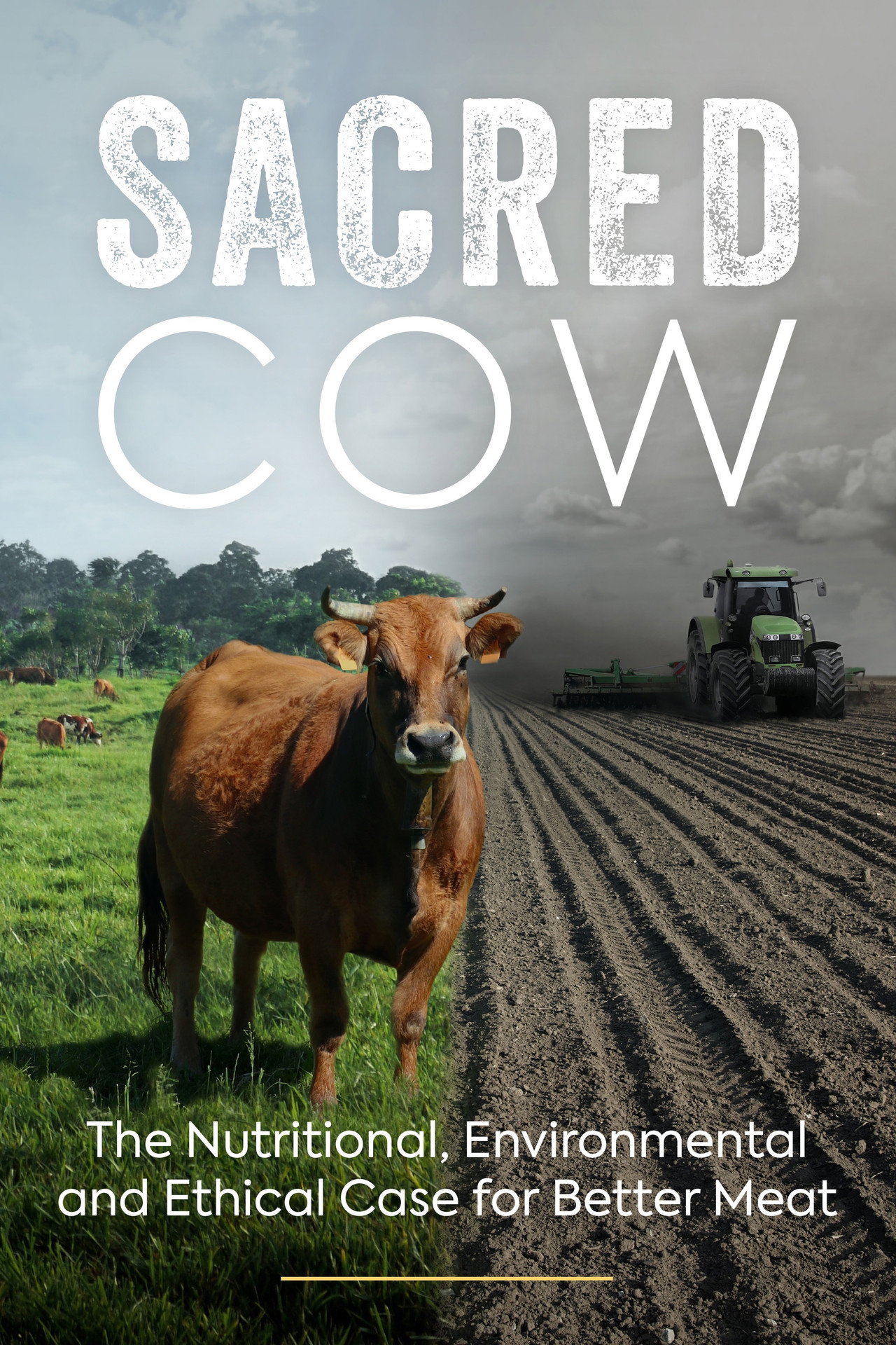 Pôster de Sacred Cow: The Nutritional, Environmental and Ethical Case for Better Meat