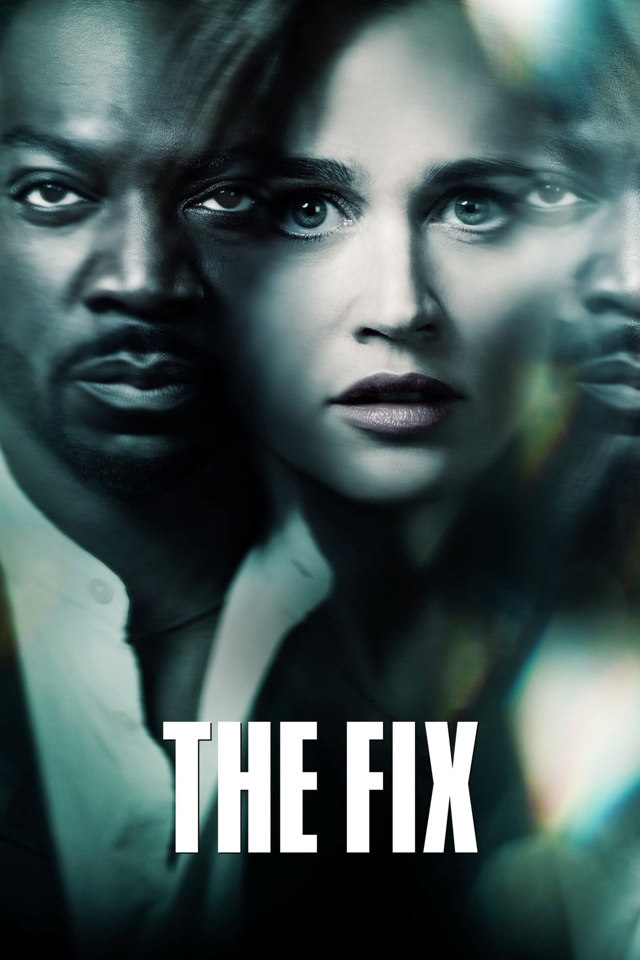 Pôster de The Fix