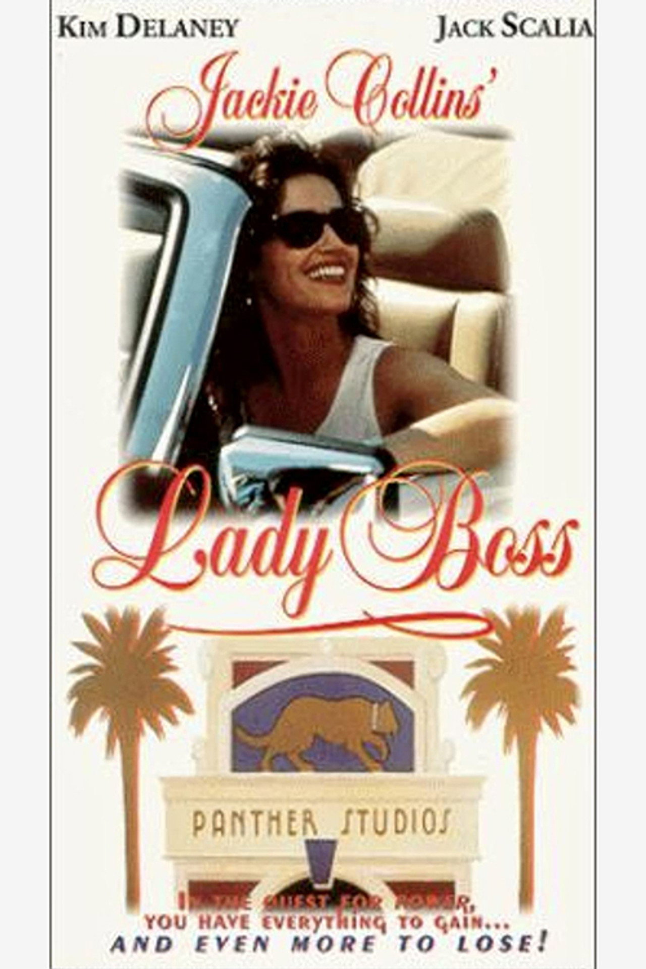 Pôster de Lady Boss