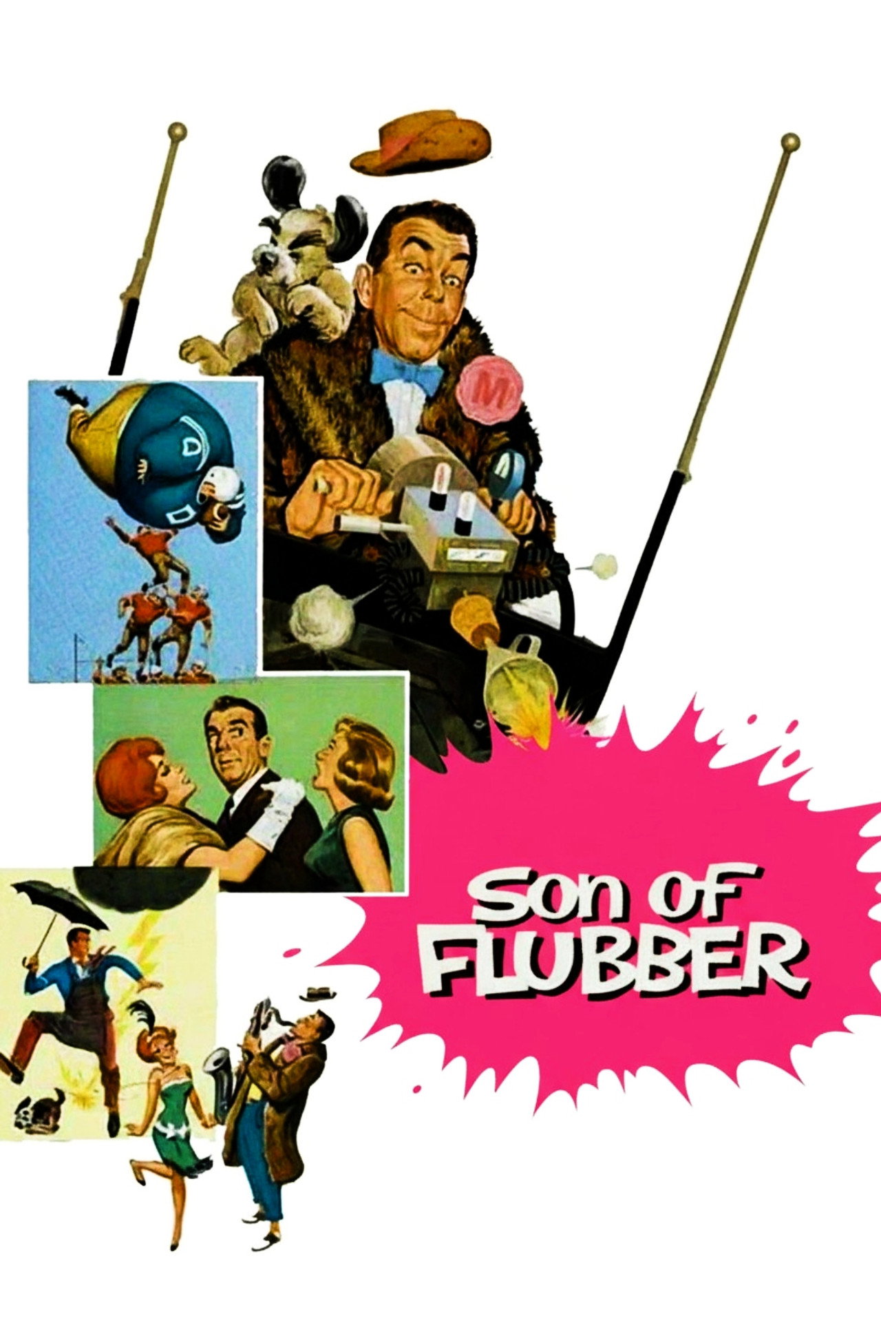 Pôster de Son of Flubber