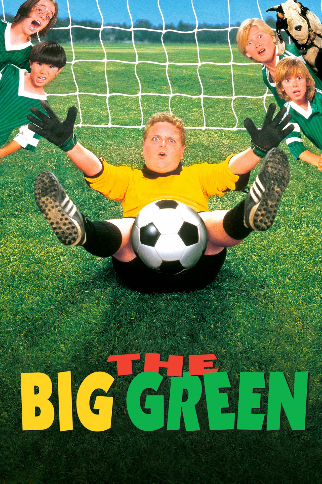Pôster de The Big Green