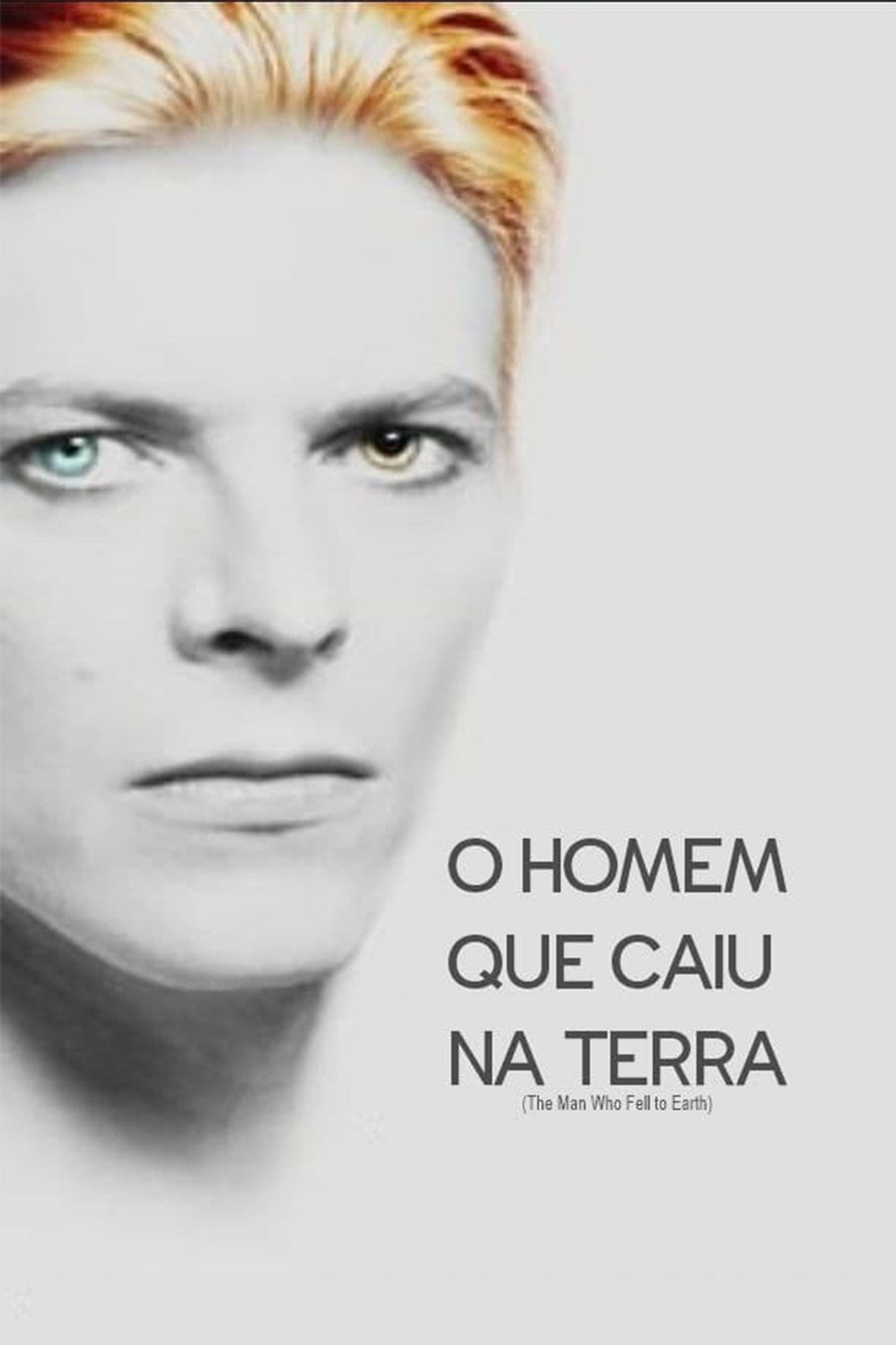 Pôster de O Homem Que Caiu na Terra