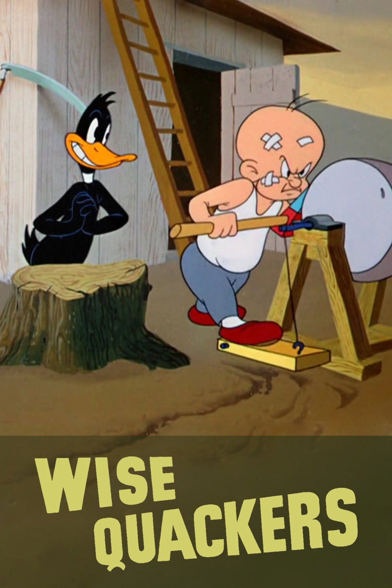 Pôster de Wise Quackers