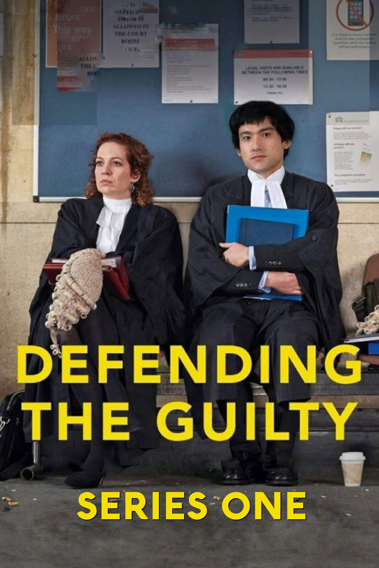 Pôster de Defending the Guilty