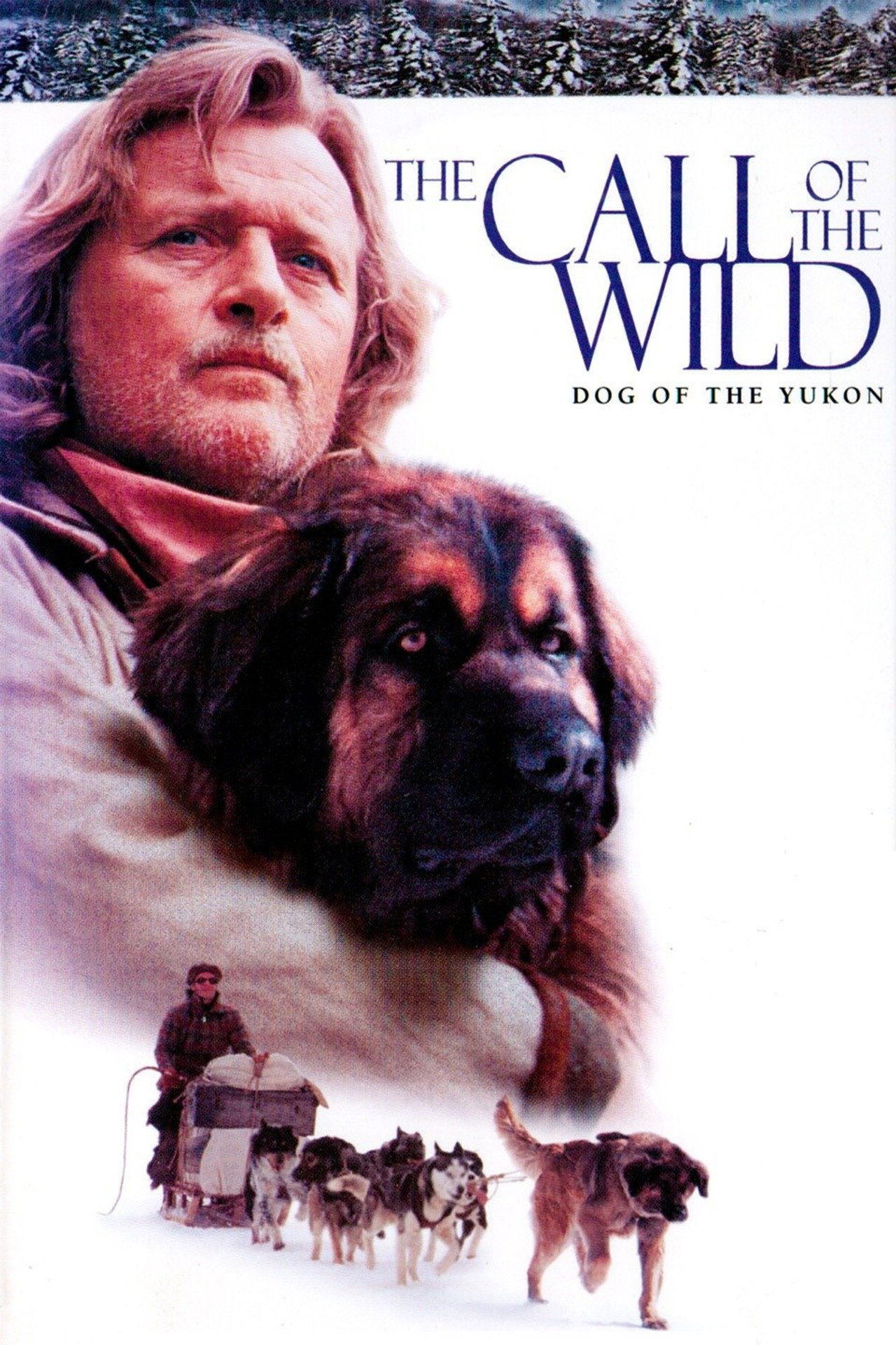 Pôster de The Call of the Wild: Dog of the Yukon
