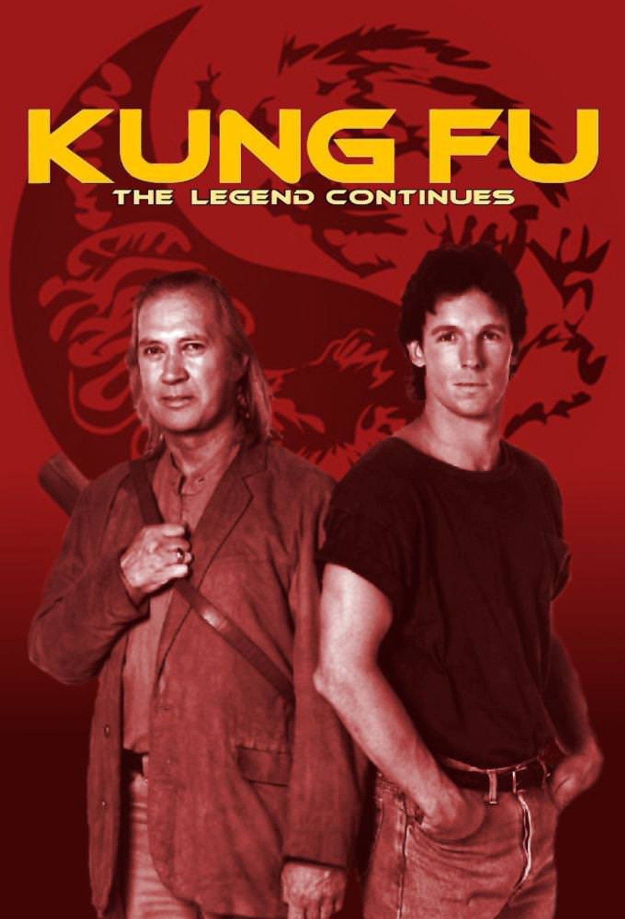 Pôster de Kung Fu: The Legend Continues