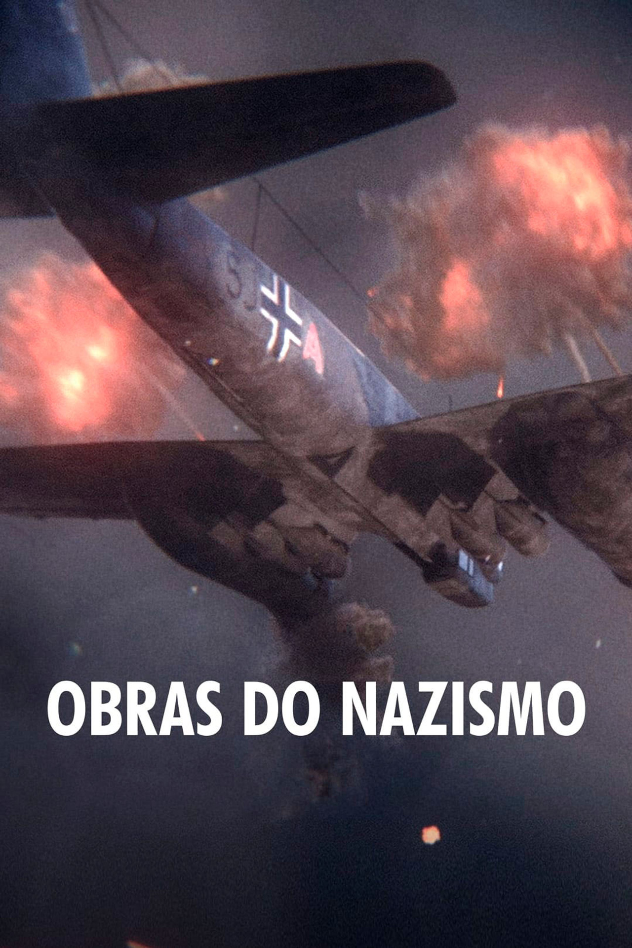 Pôster de Obras do Nazismo