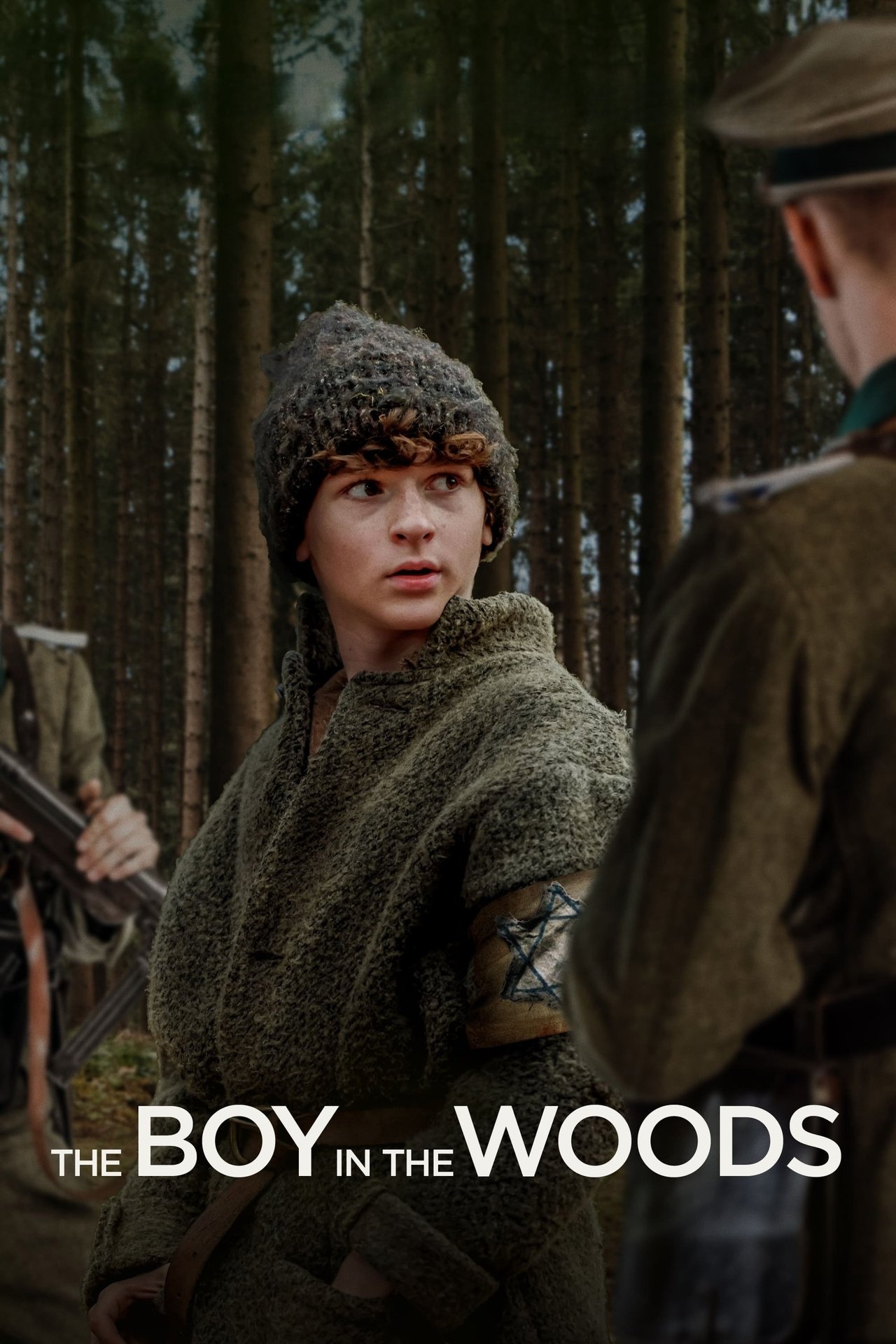 Pôster de The Boy in the Woods