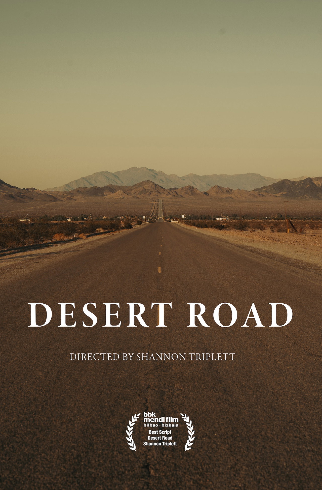 Pôster de Desert Road