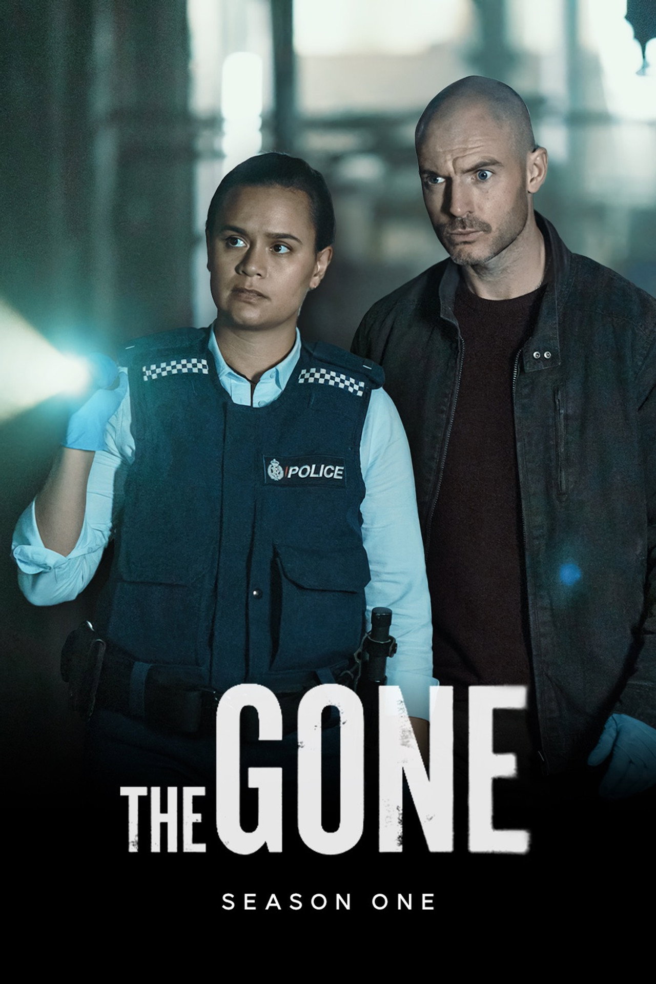 Pôster de The Gone