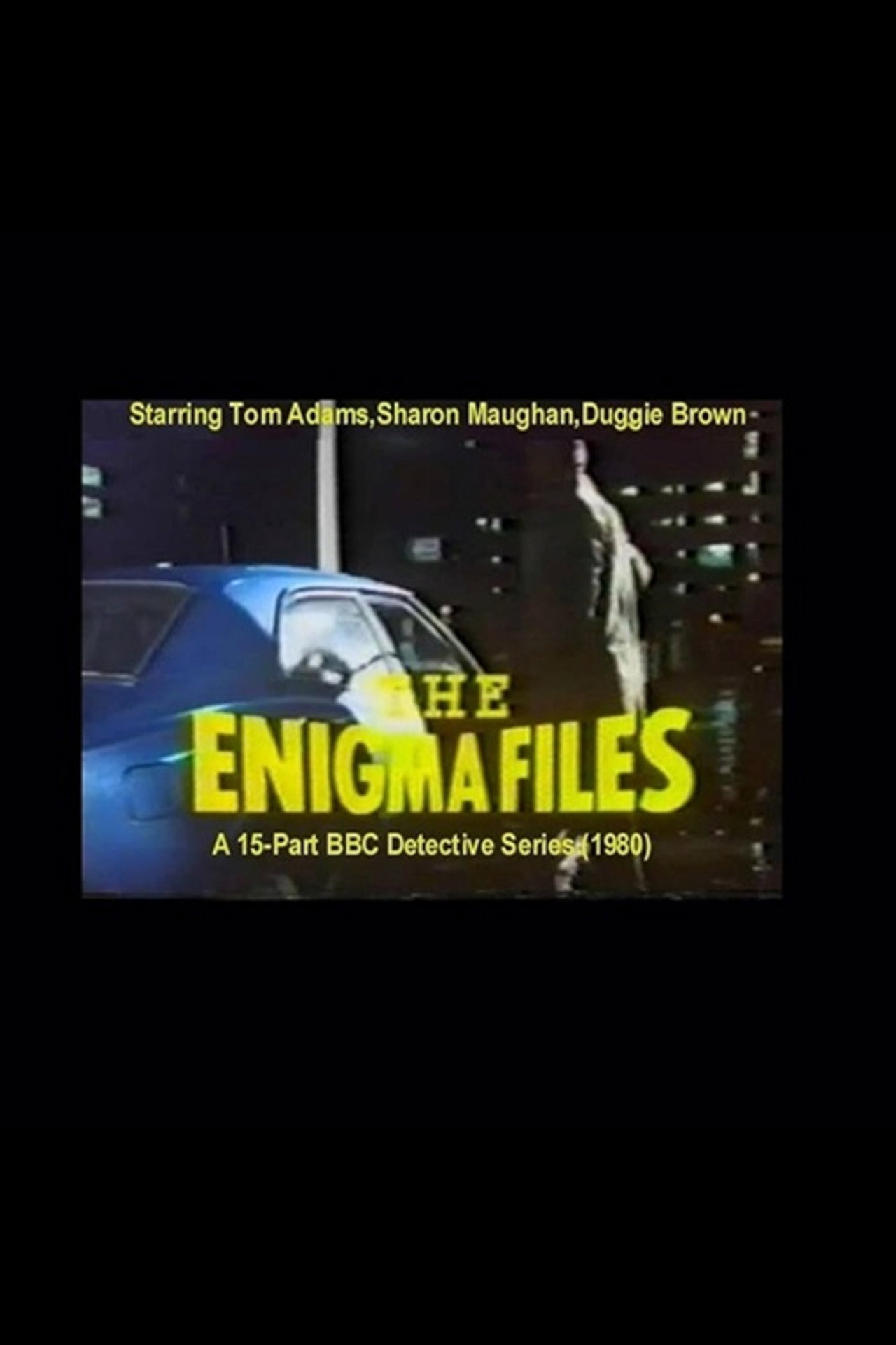 Pôster de The Enigma Files