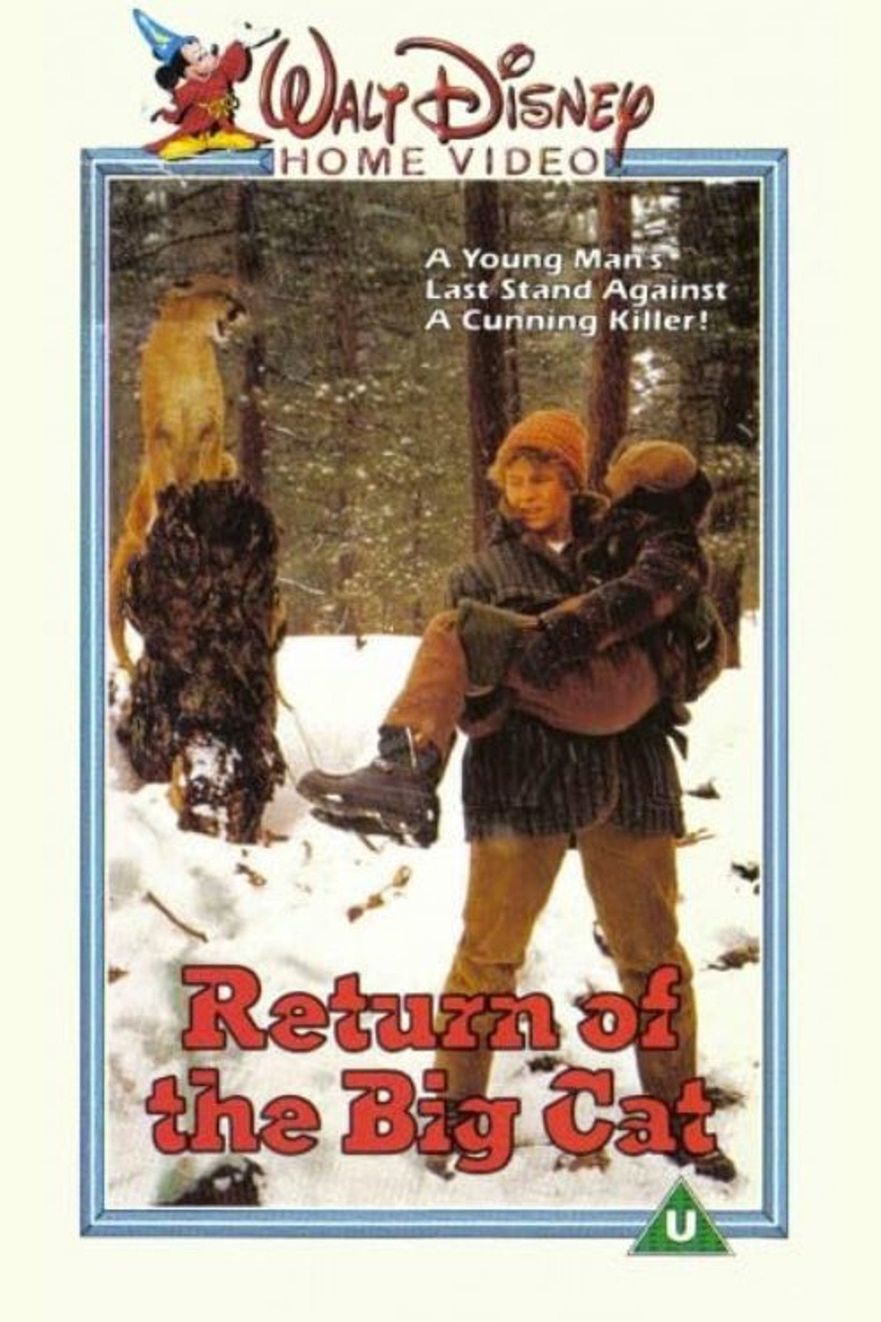 Pôster de Return of the Big Cat