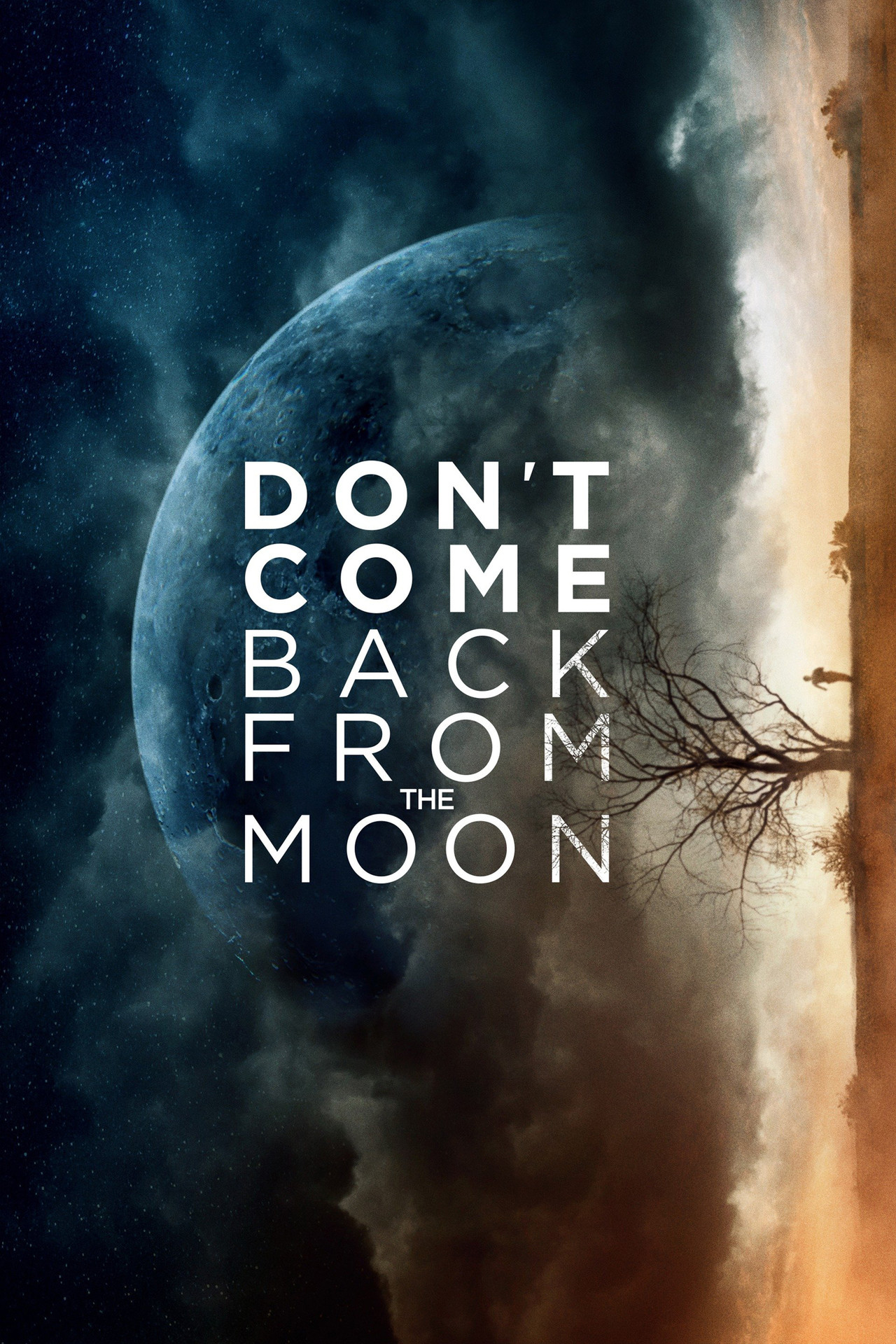 Pôster de Don't Come Back from the Moon