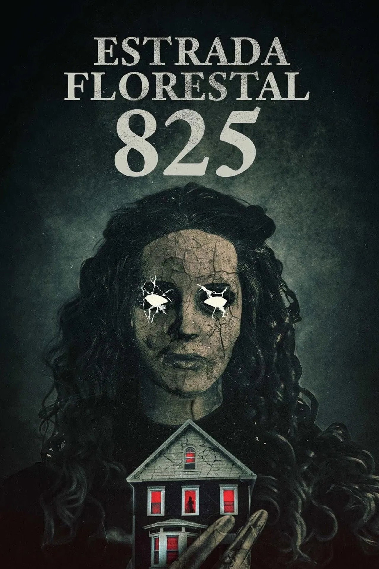 Pôster de Estrada Florestal 825