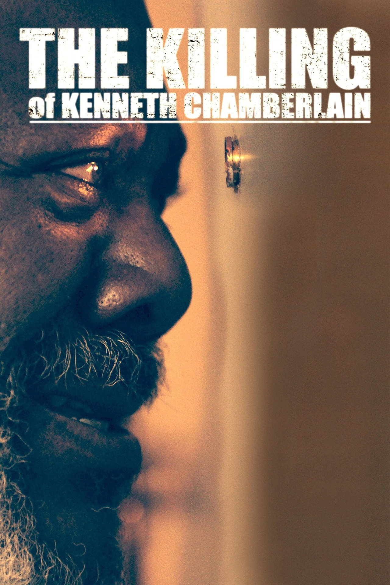Pôster de The Killing of Kenneth Chamberlain