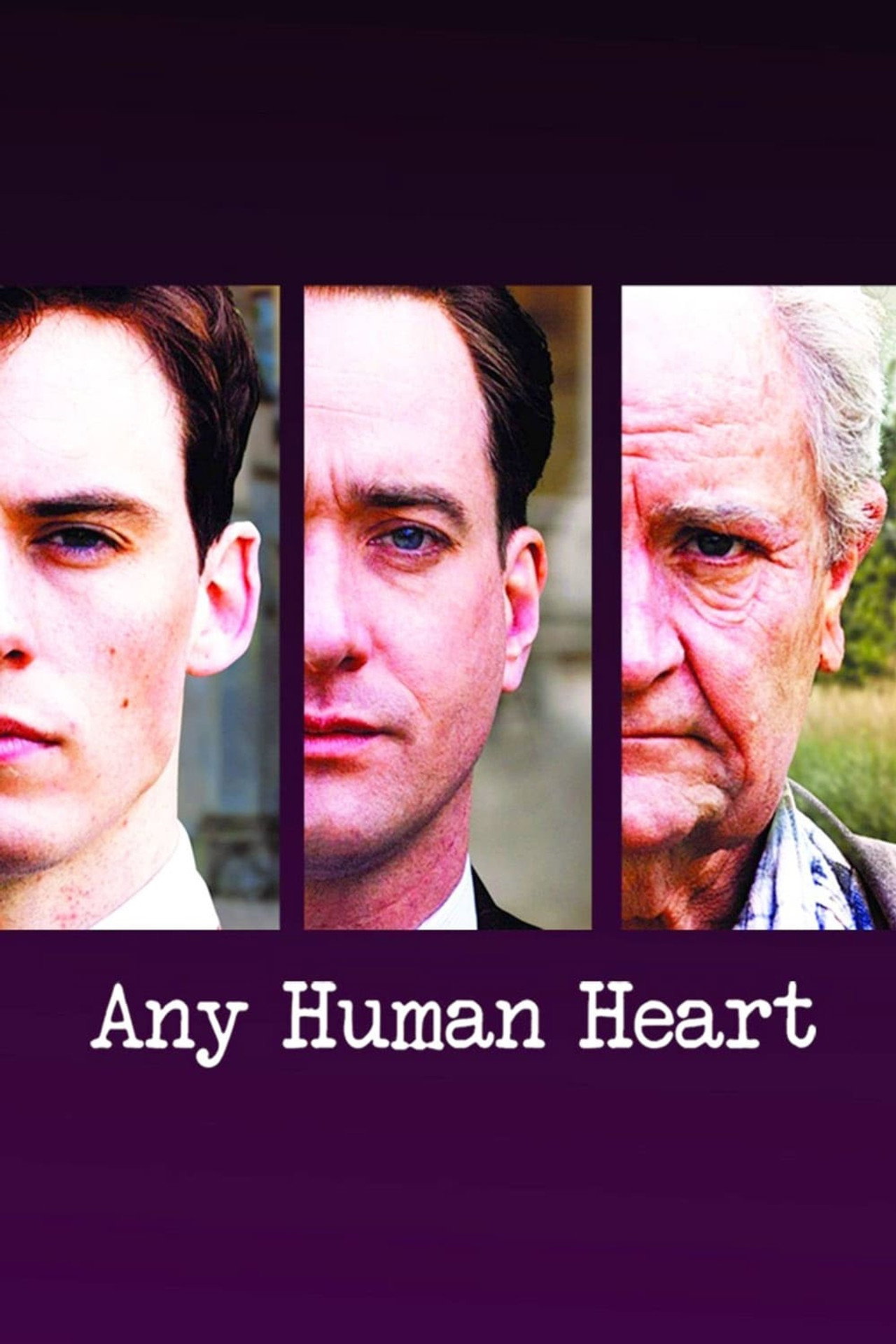 Pôster de Any Human Heart