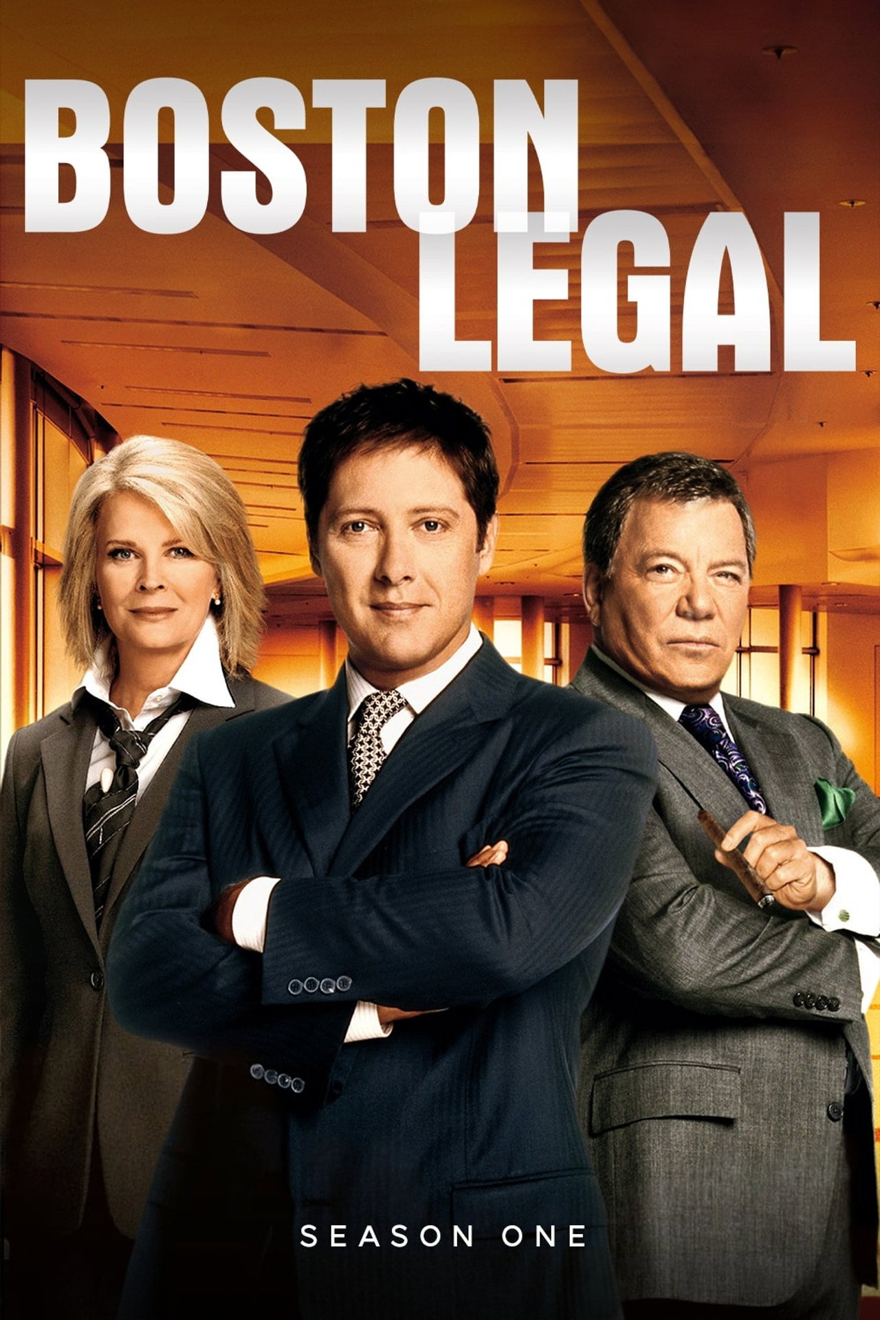 Pôster de Boston Legal