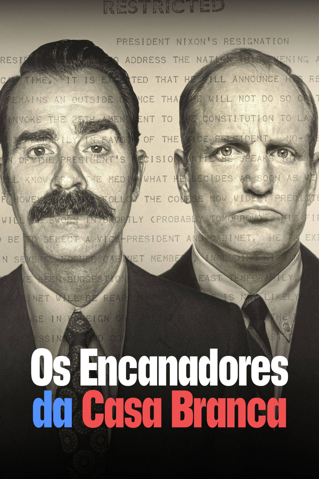 Pôster de Os Encanadores da Casa Branca