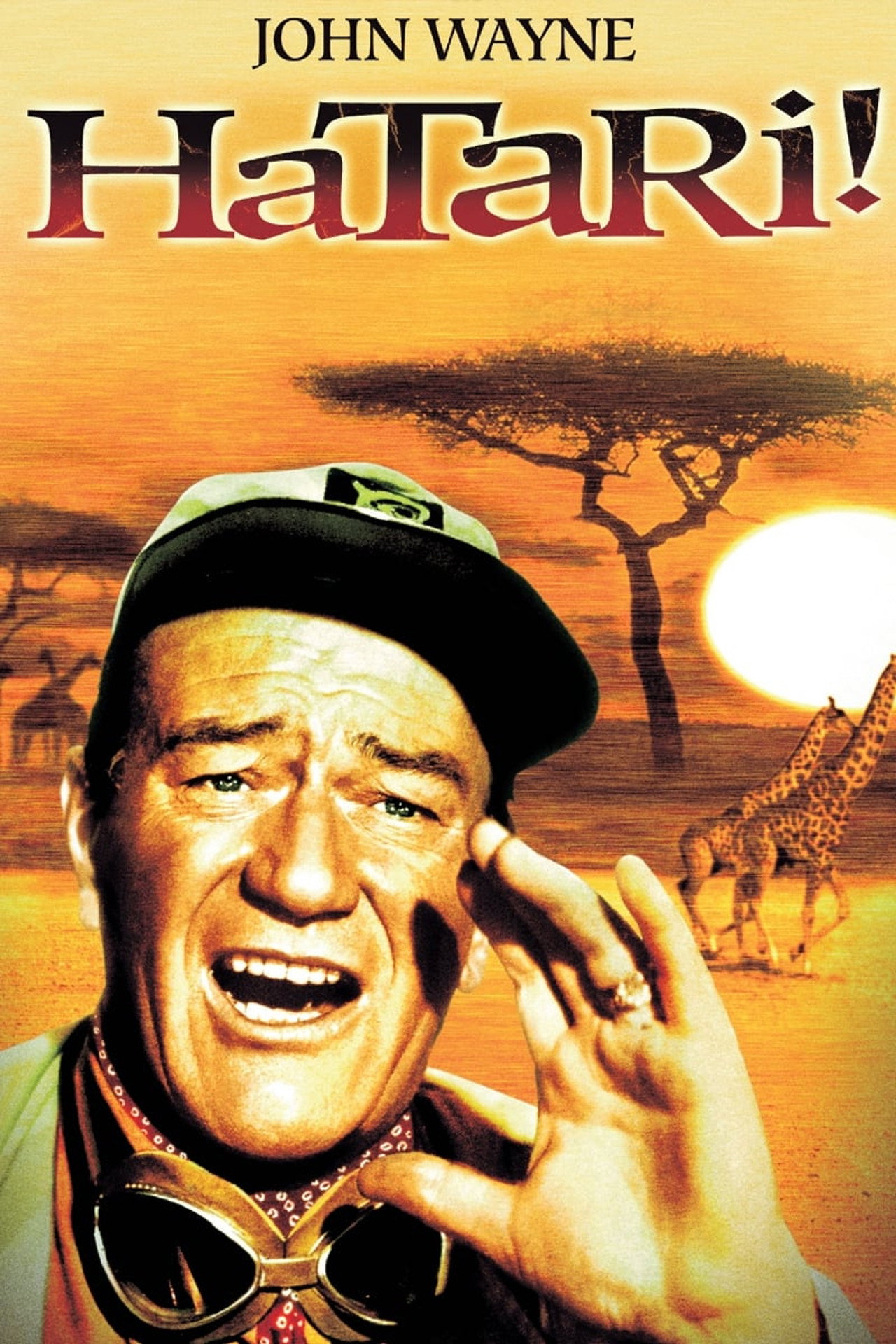 Pôster de Hatari!